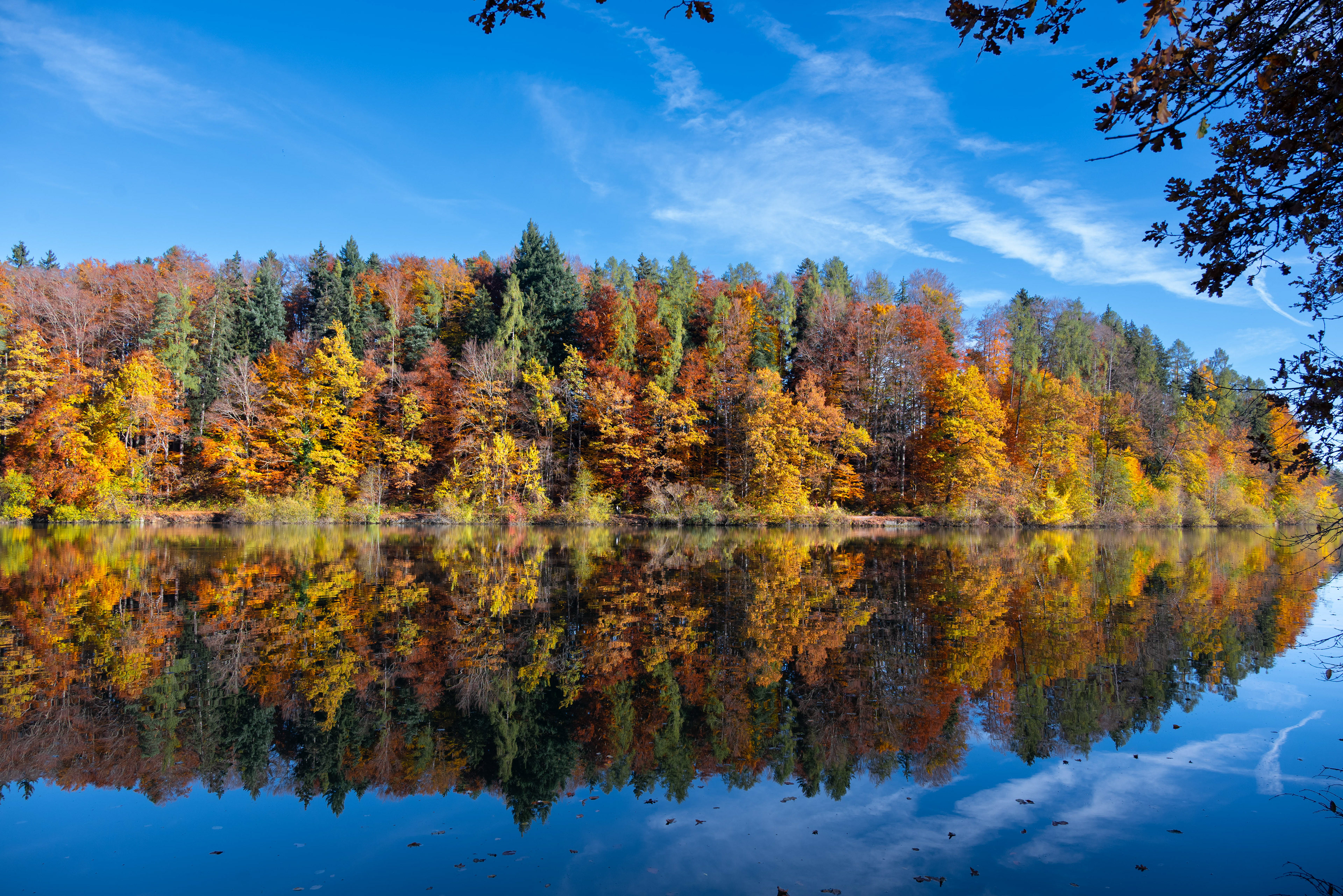Goldener Herbst am Gübsensee