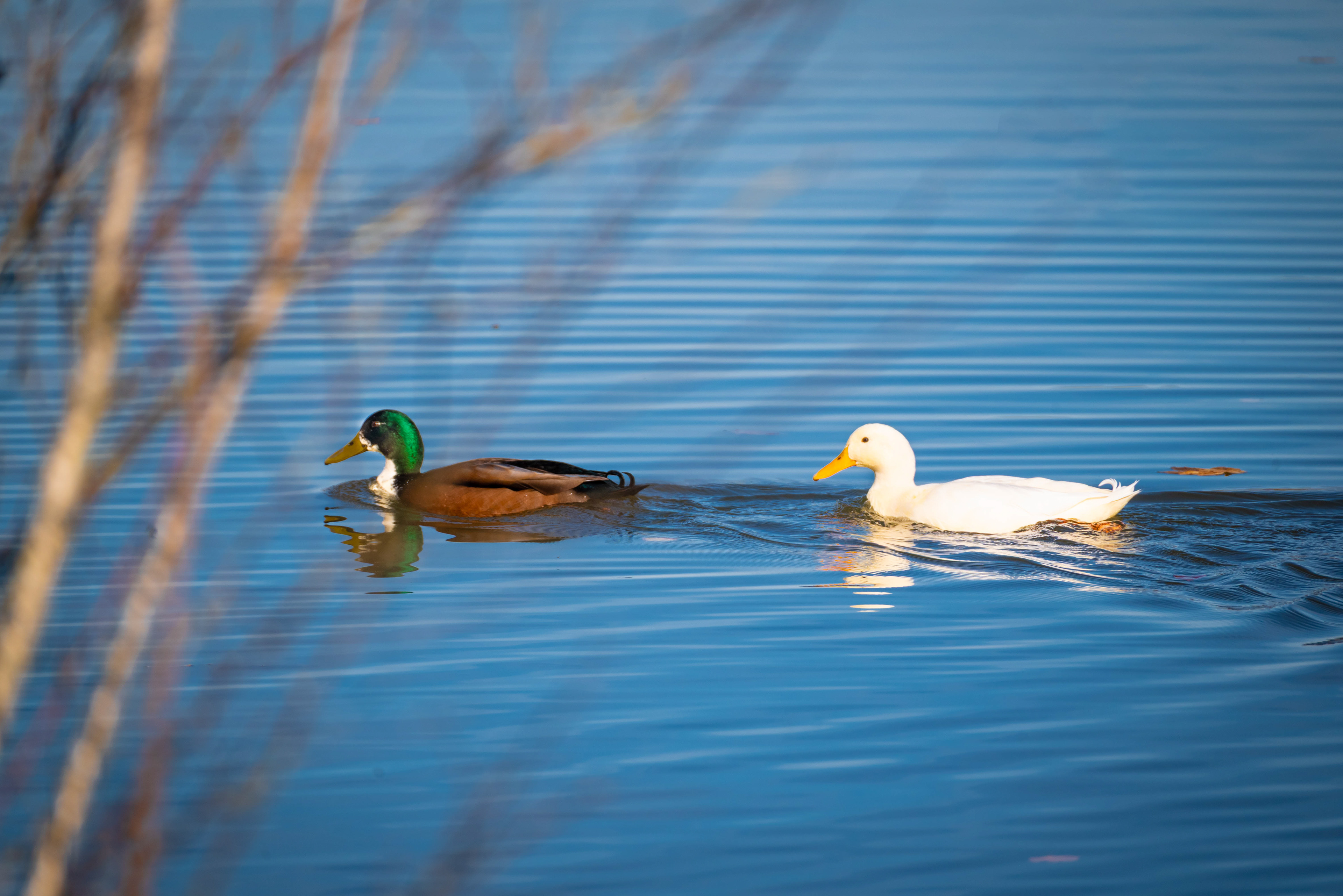 Gemeinsam durchs Leben paddeln