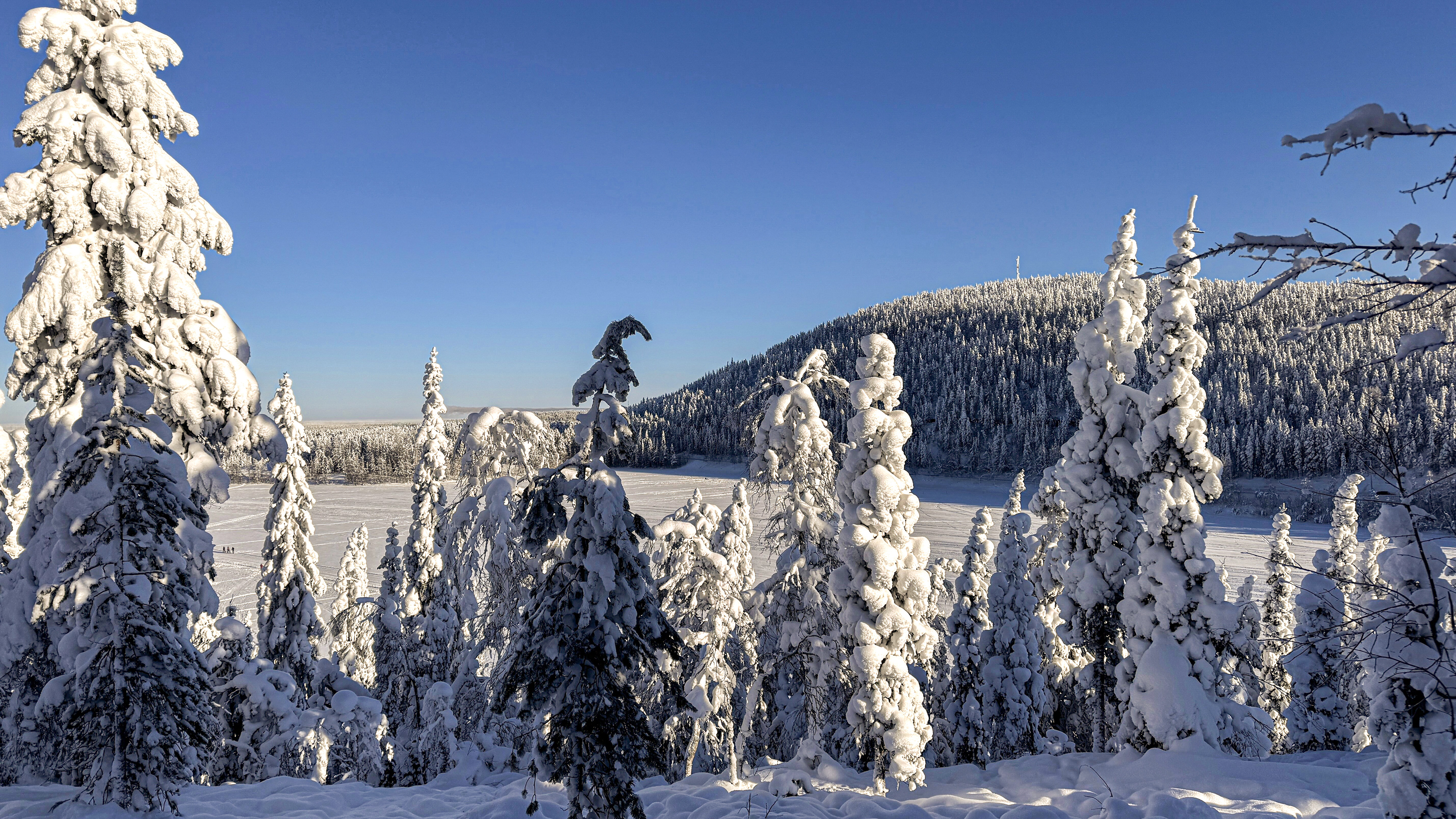 Winterstille am Immeljärvi