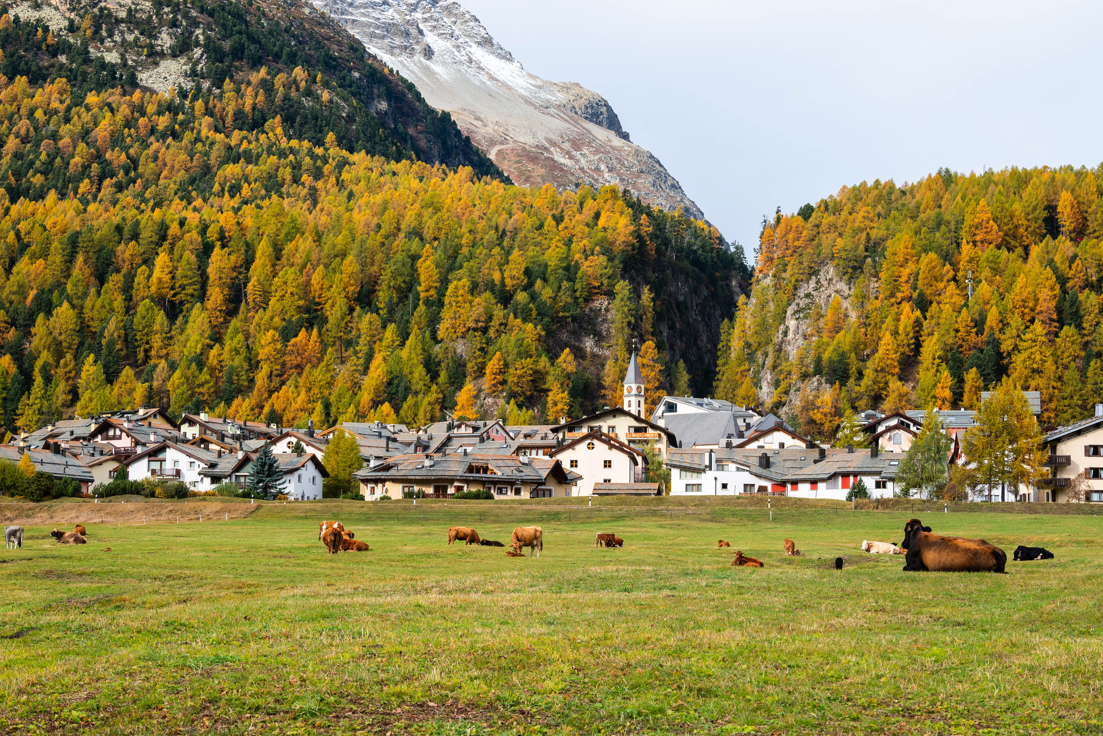 Alpine Idylle in Silvaplana