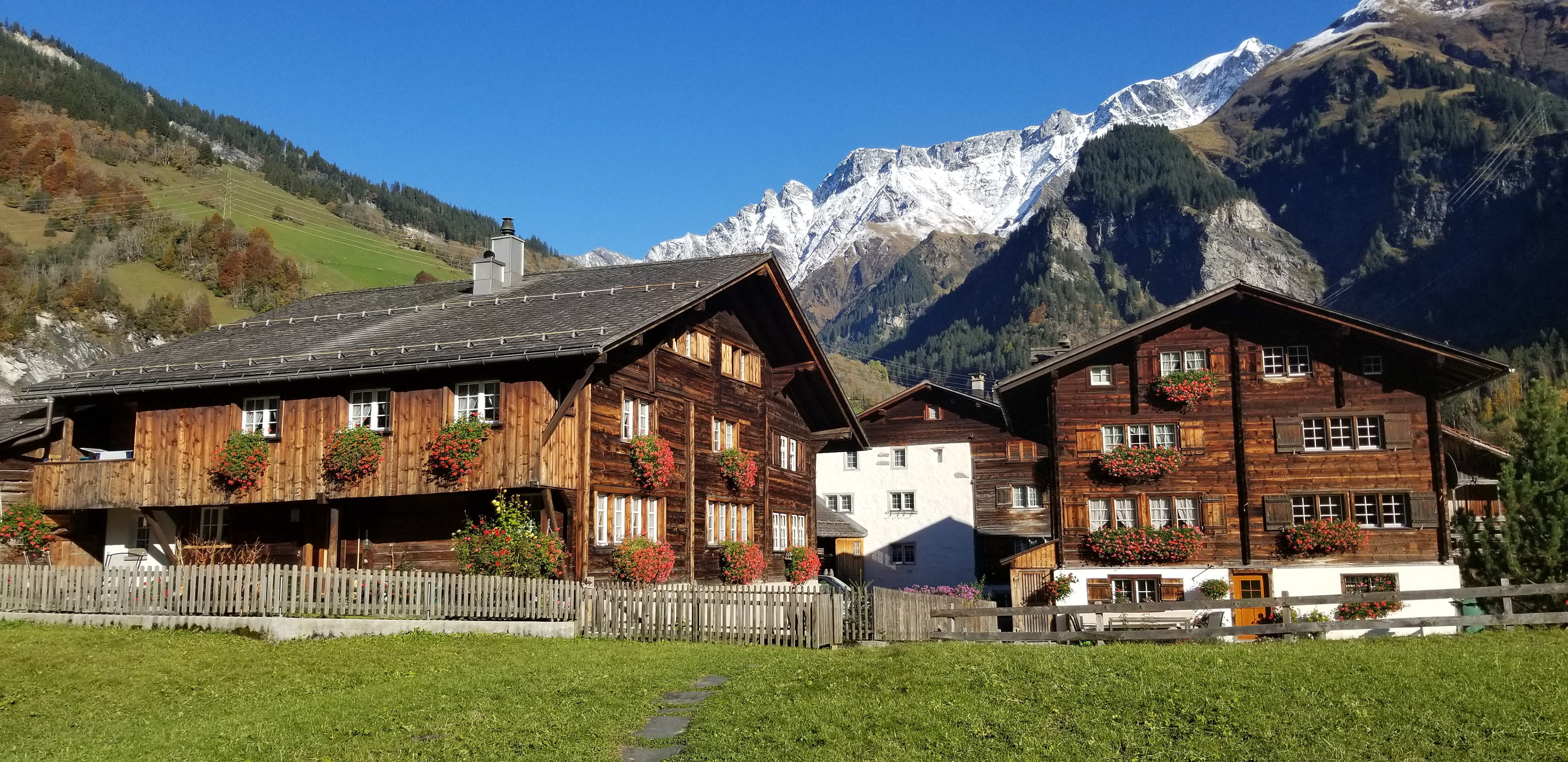 Herbstzauber in Elm