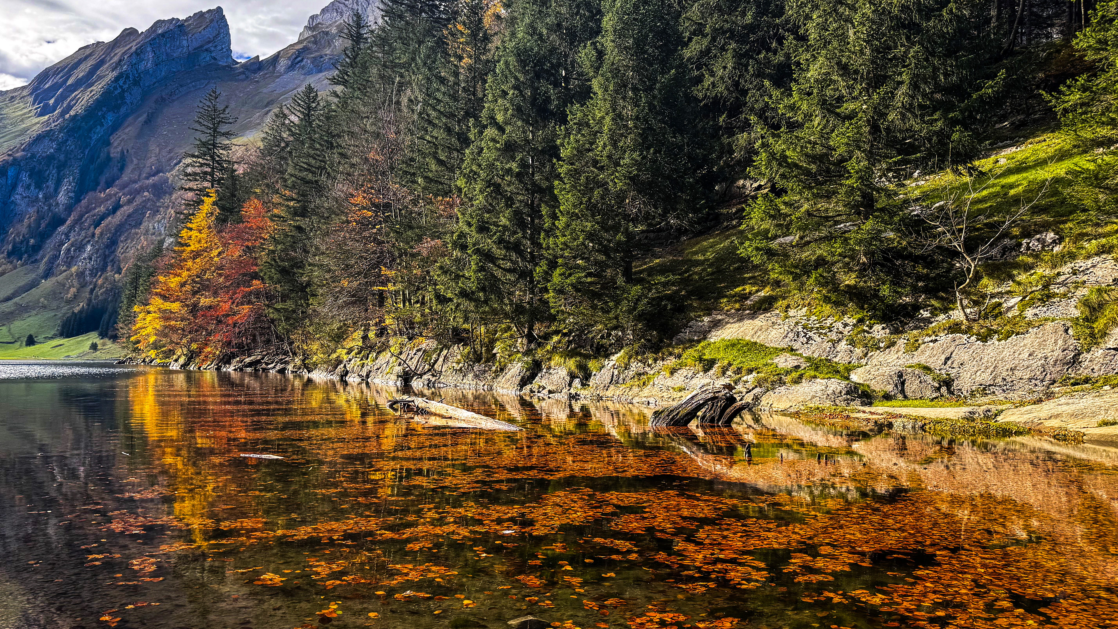Goldenes Laub und stille Wasser