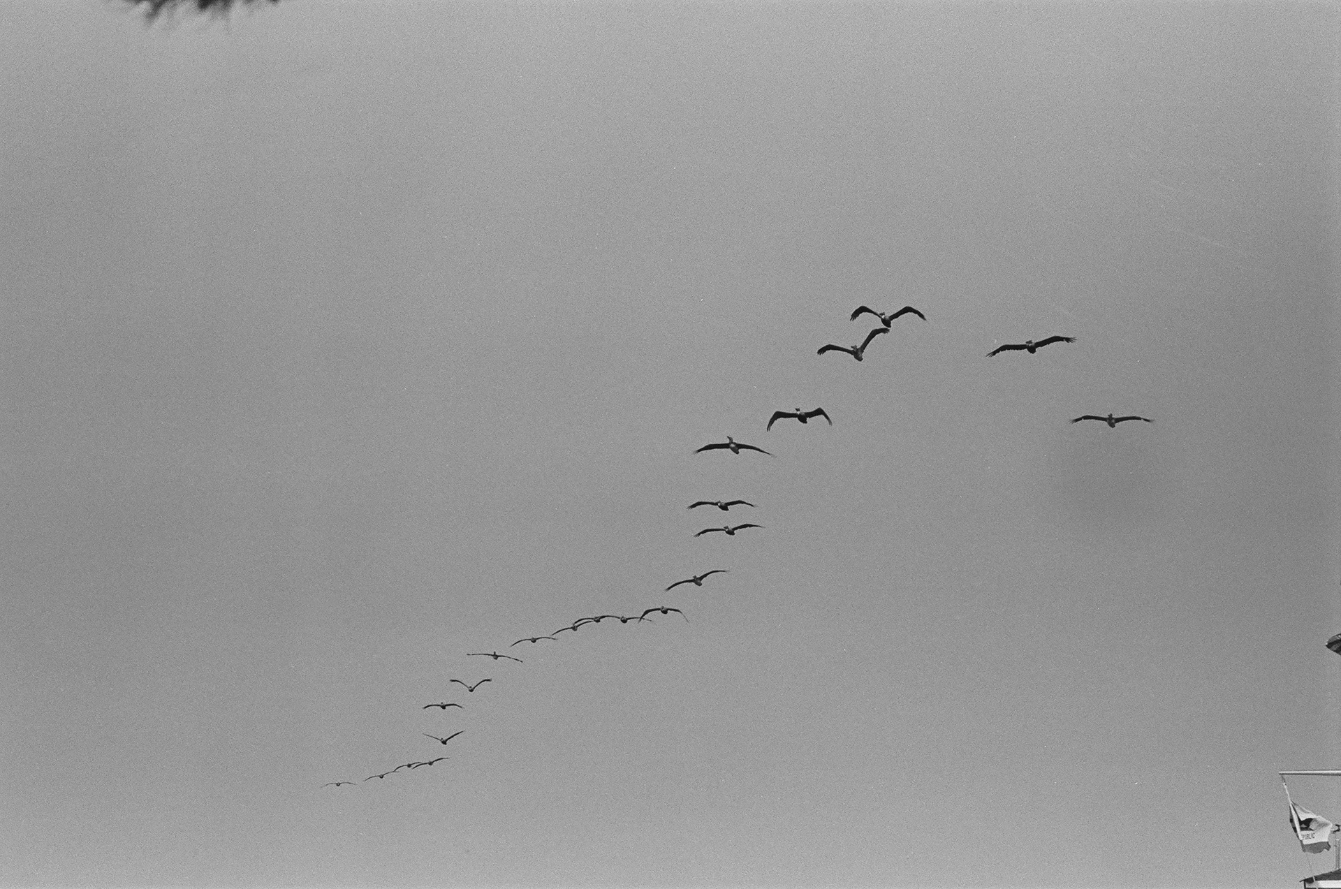 BODEGA BAY, CA