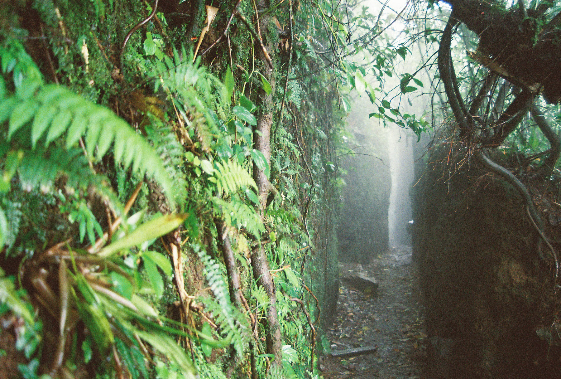 NICARAGUA
