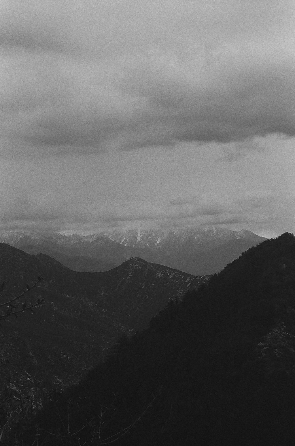 SAN GABRIEL FOREST