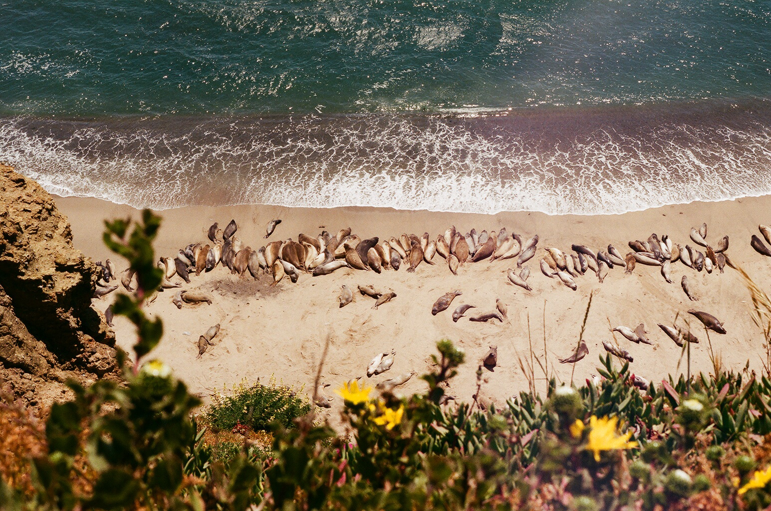 CALIFORNIA