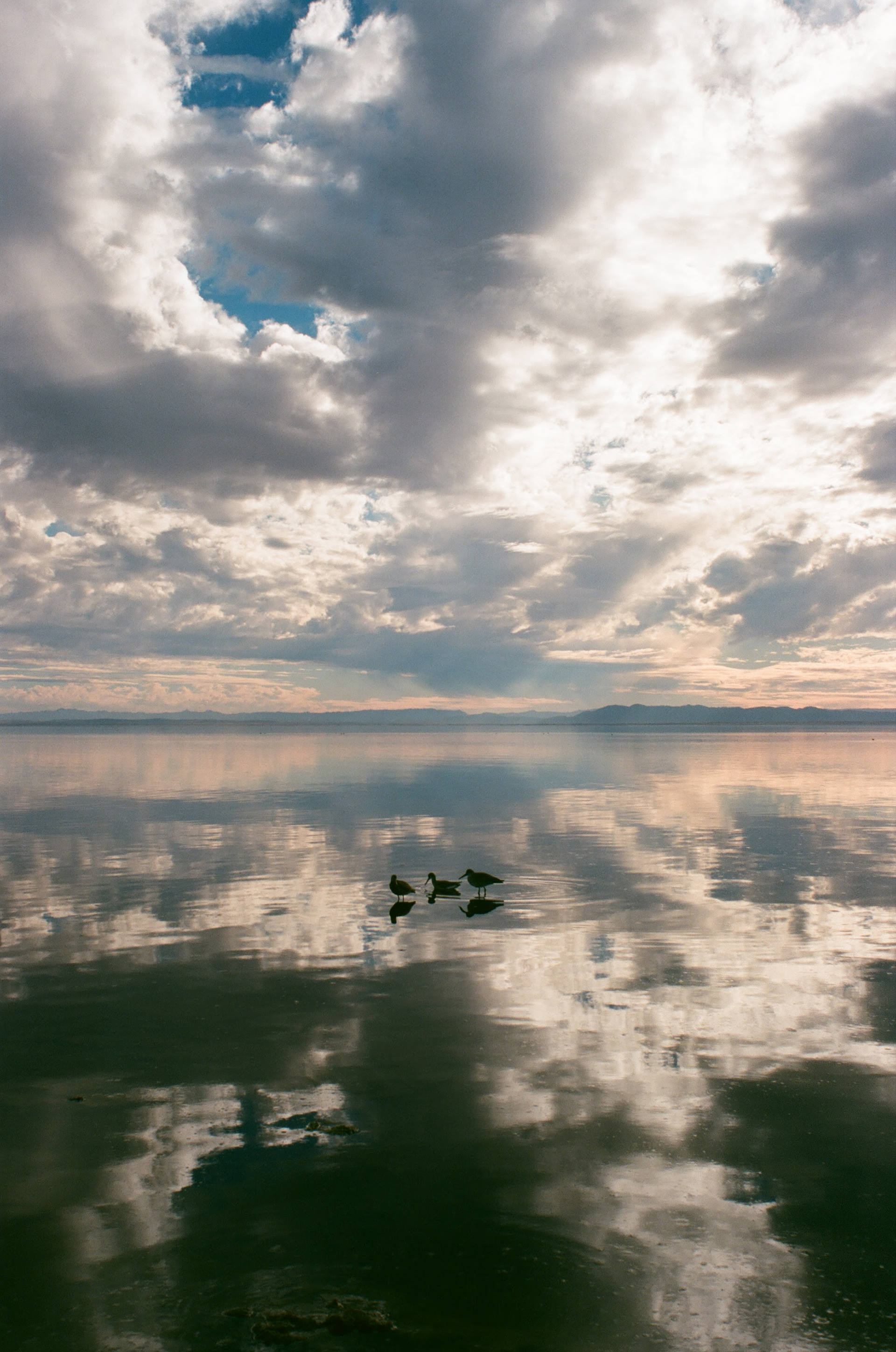 BOMBAY BEACH