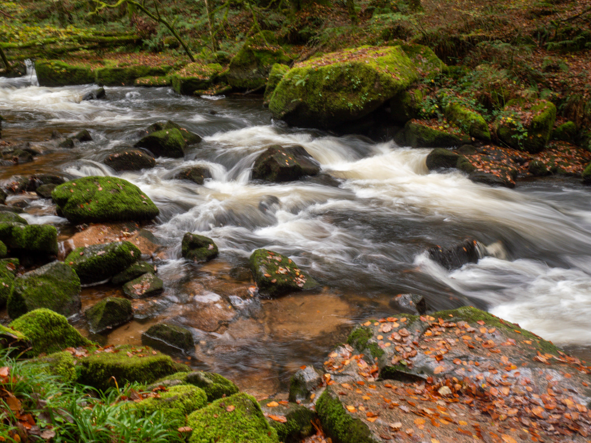 Golitha Falls, Liskeard