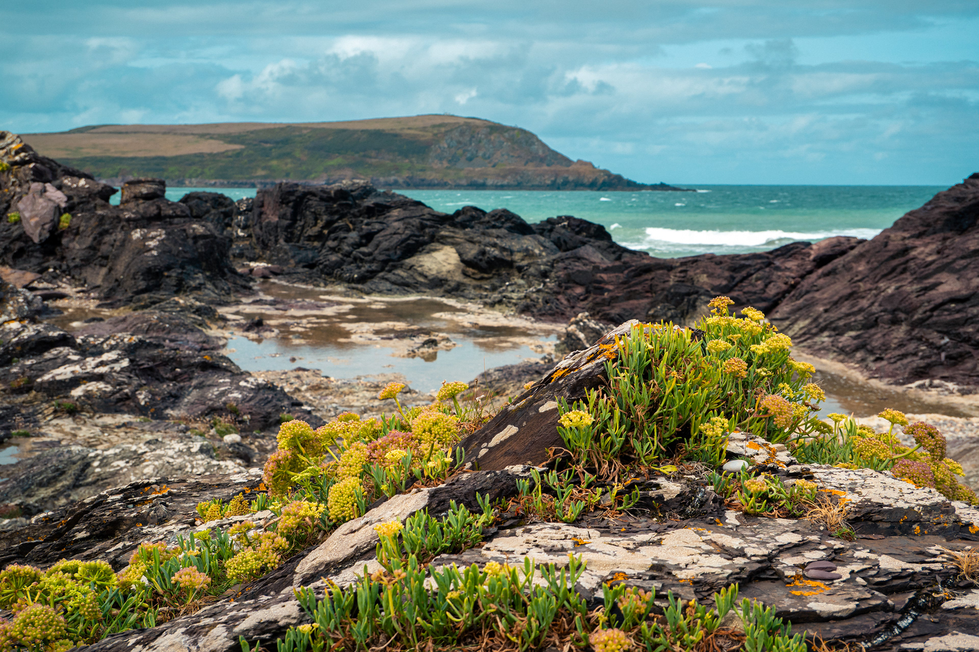 Rocky Outlet, Greenaway Beach