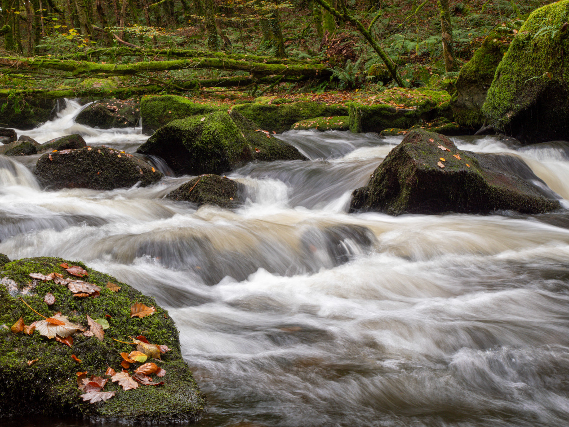 Golitha Falls, Liskeard
