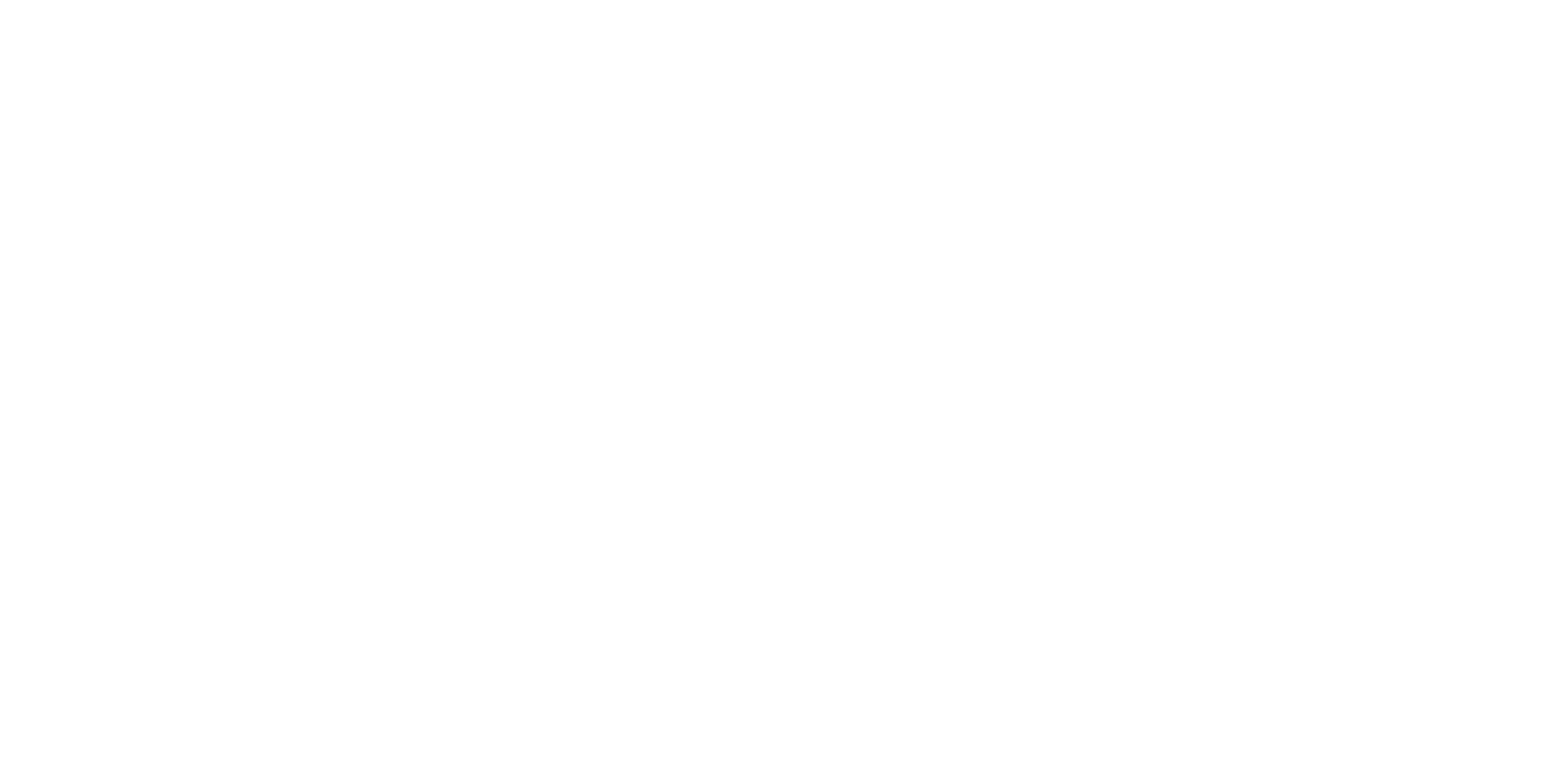 David Couto
