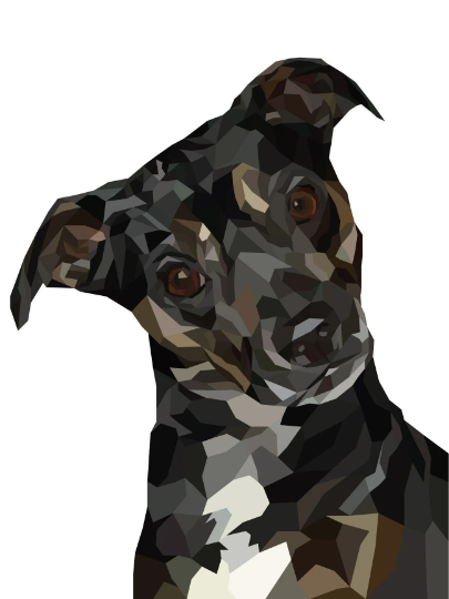 Custom Low-Poly Pet Portrait $25