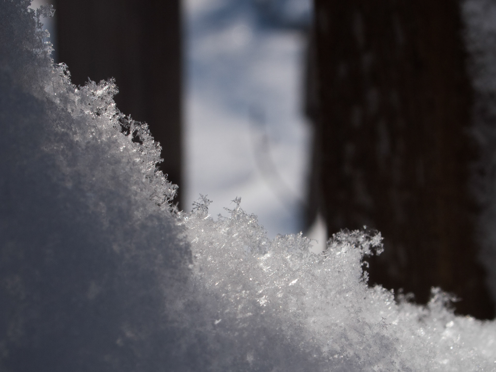 Fresh snowflakes with Sun
