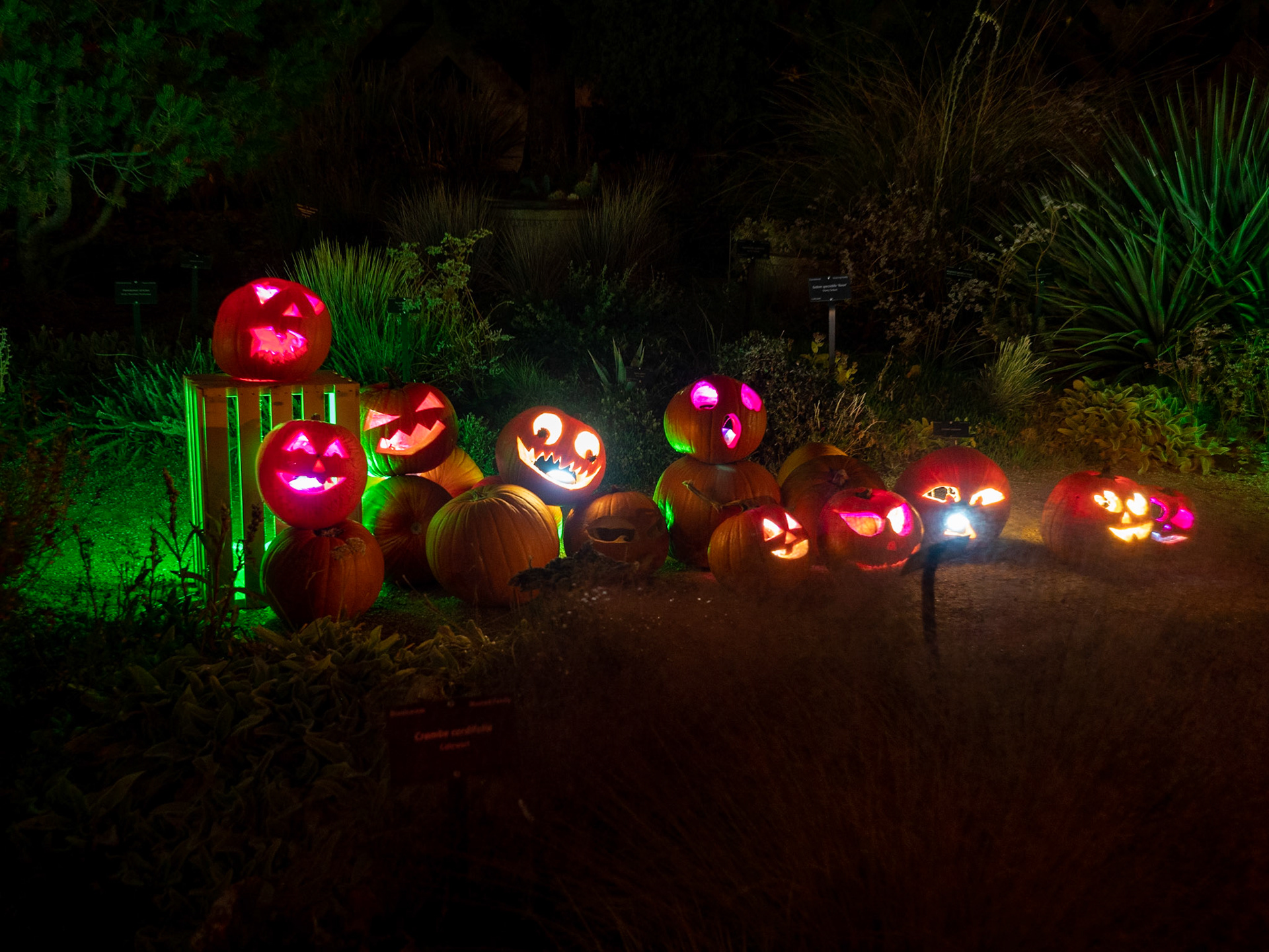 Glow at the Gardens 2020