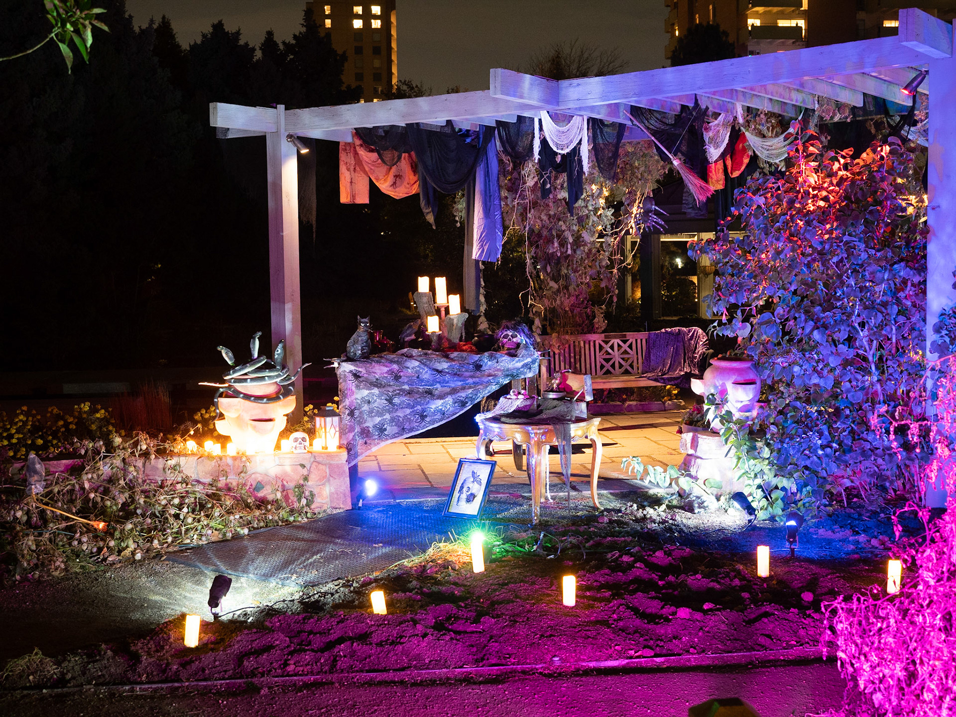 Glow at the Gardens 2020