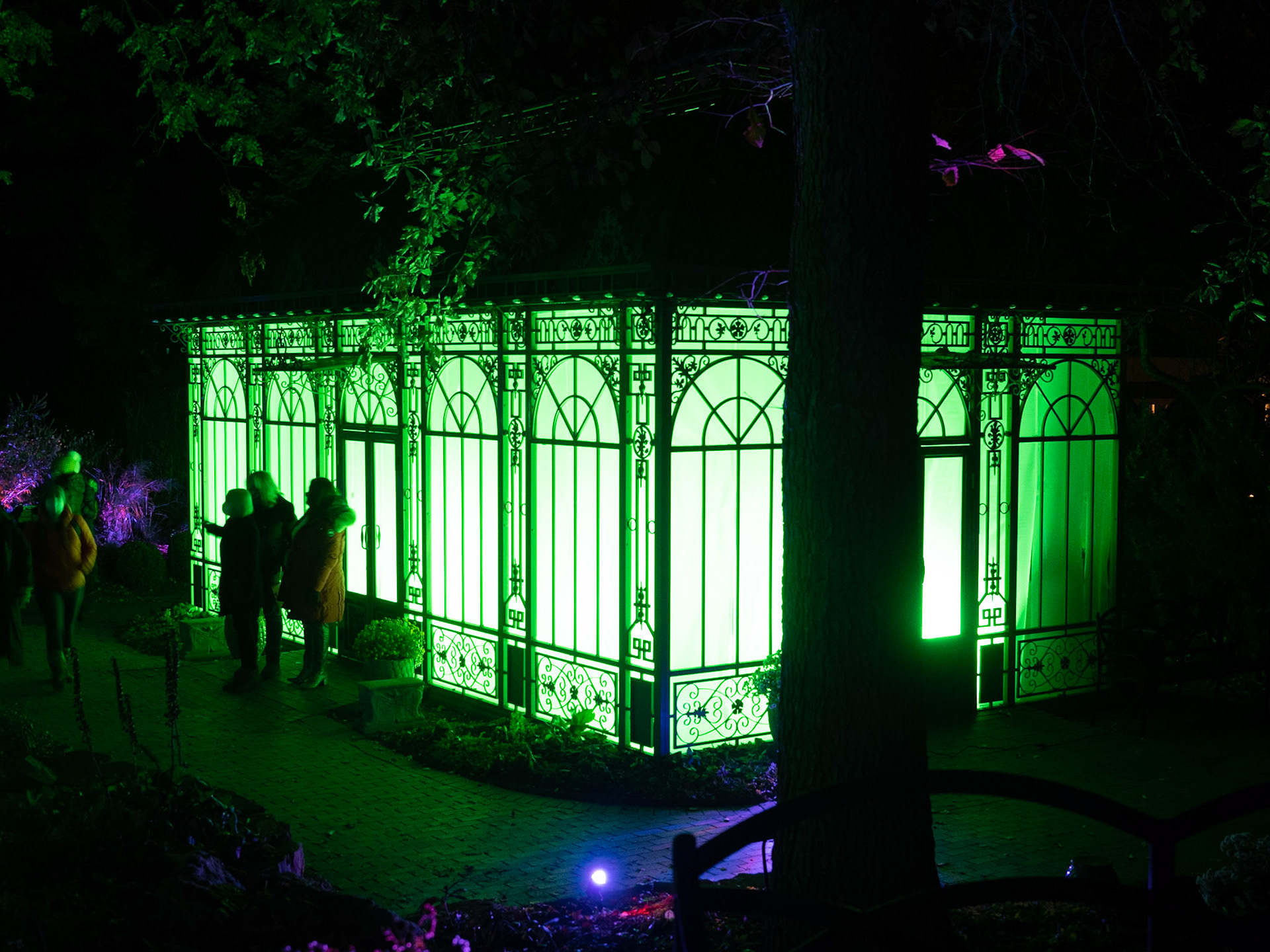 Glow at the Gardens 2020