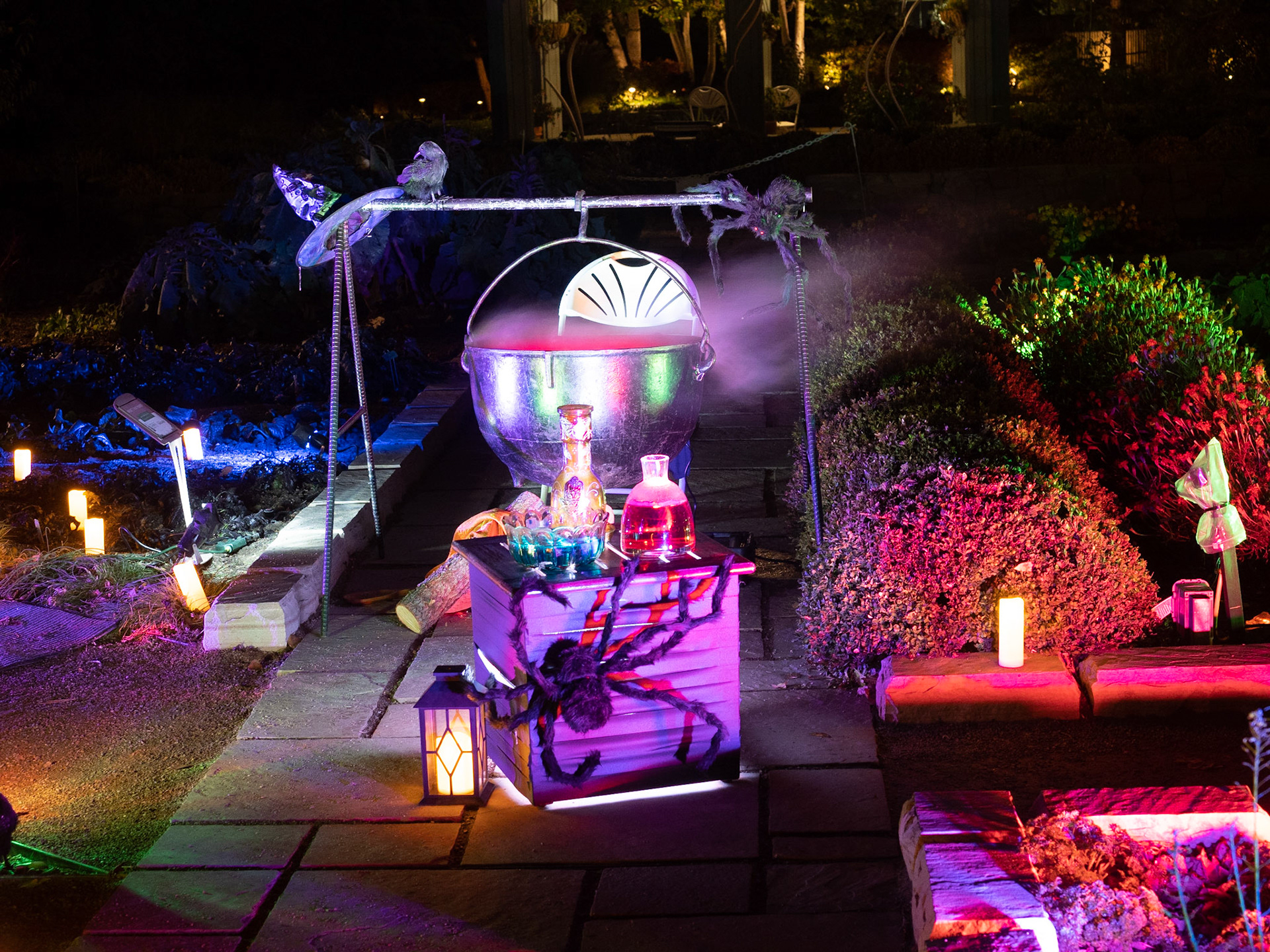 Glow at the Gardens 2020