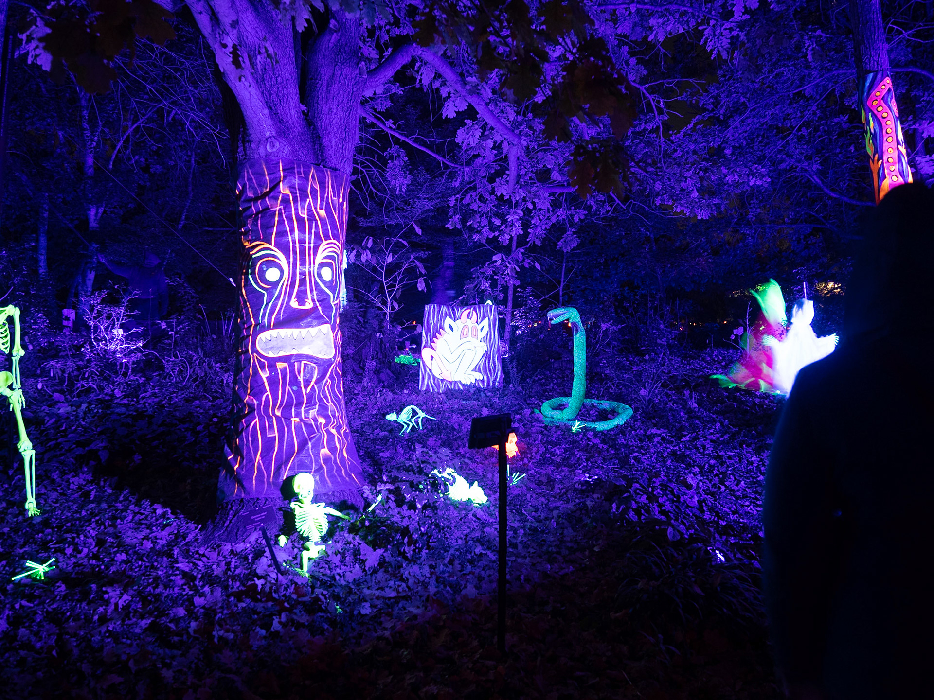 Glow at the Gardens 2020