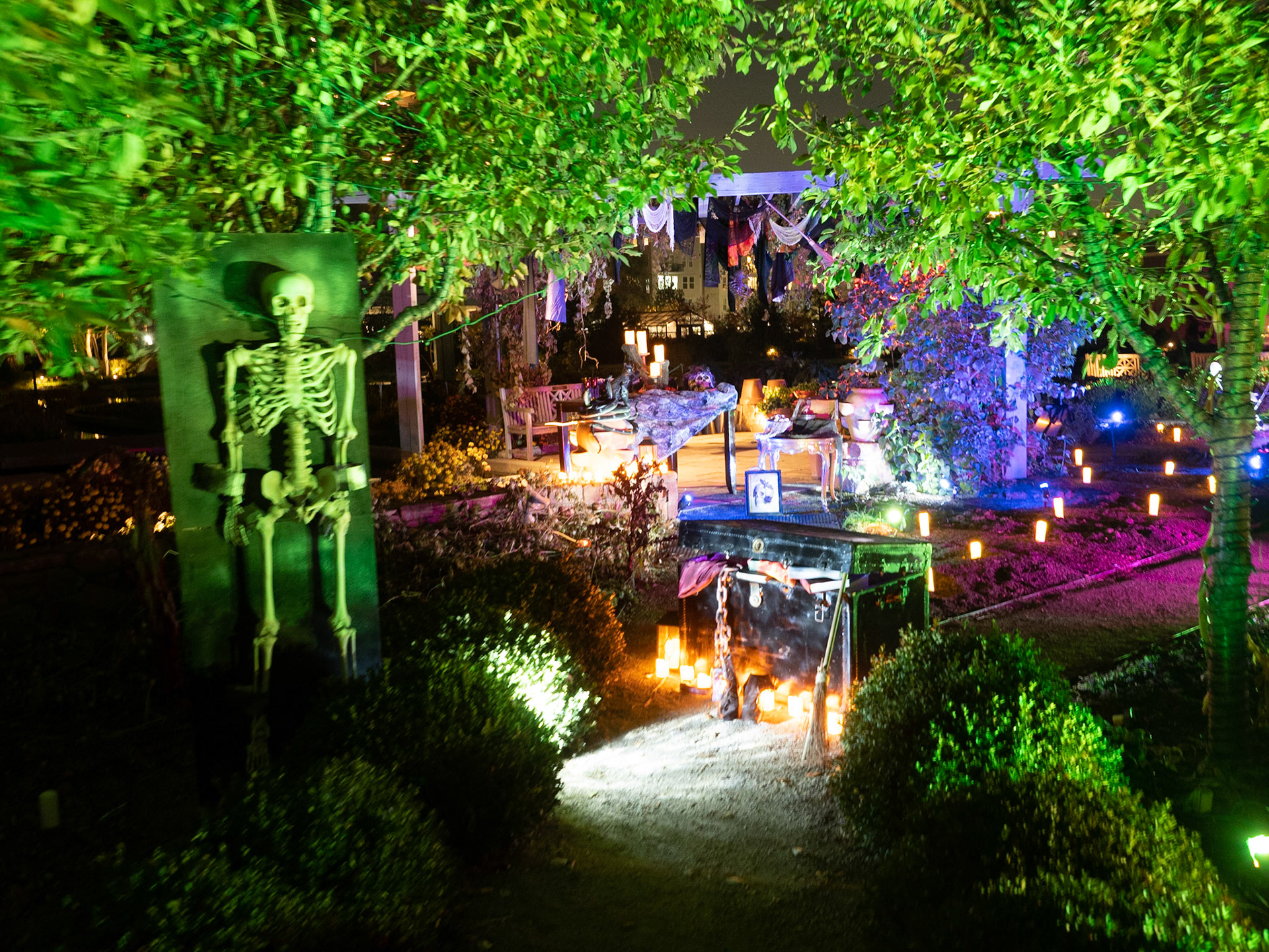 Glow at the Gardens 2020