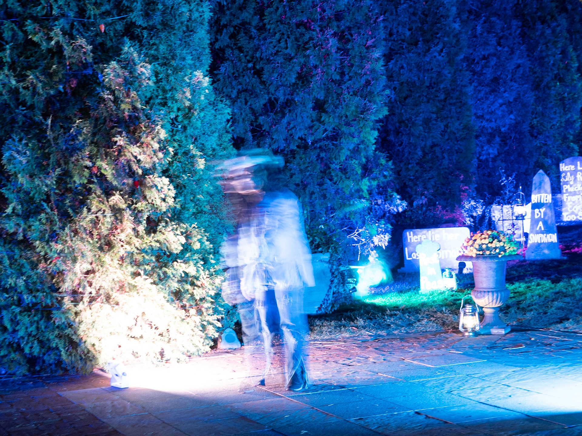 Glow at the Gardens 2020