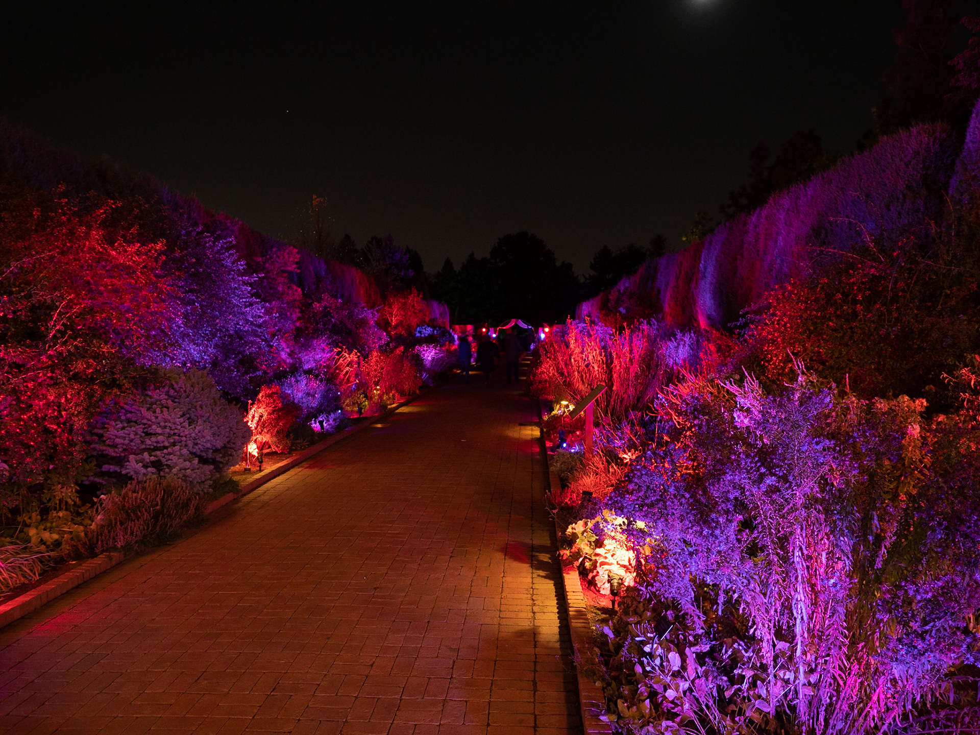 Glow at the Gardens 2020