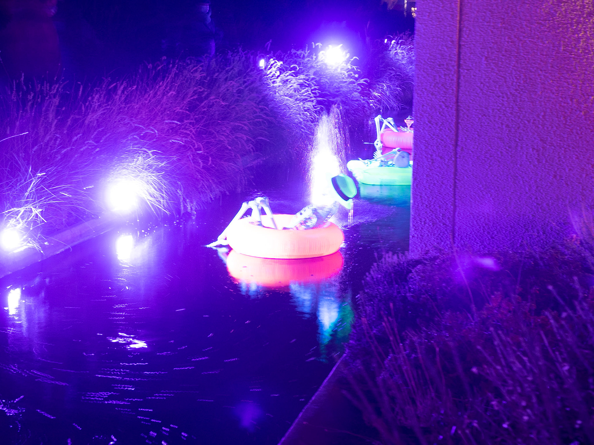 Glow at the Gardens 2020