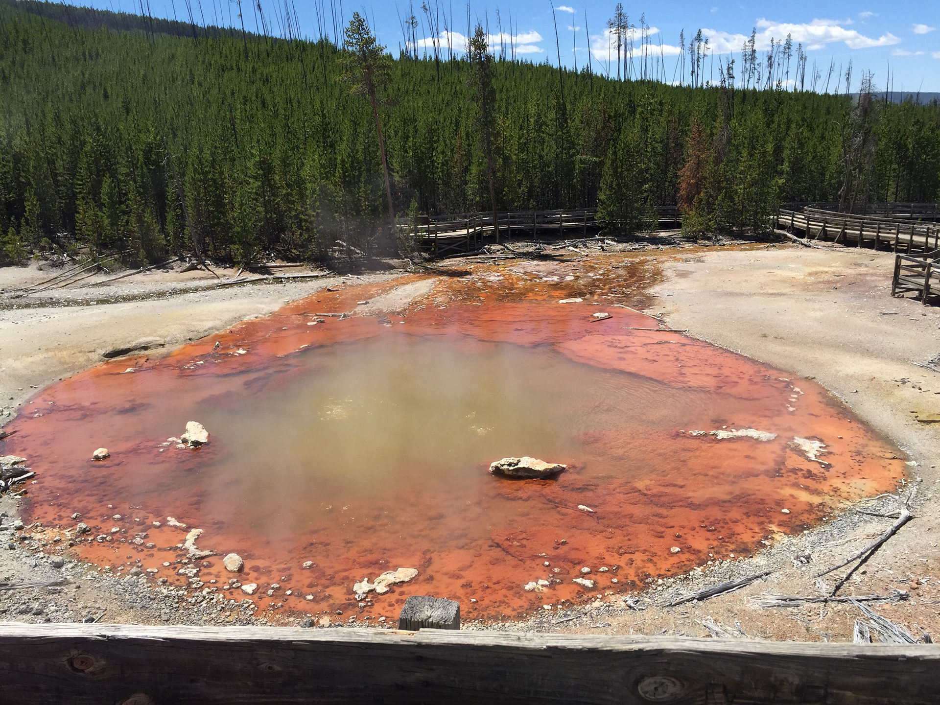 Yellowstone National Park Grand Teton National Park, © 2016 Mattix