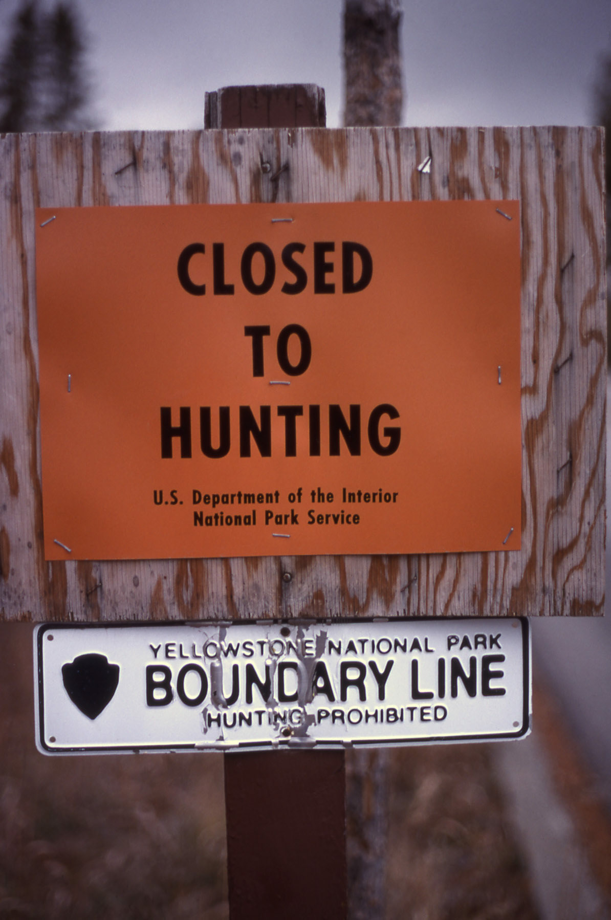 NPS Yellowstone Photo Collection, Jim Peaco, October 1992