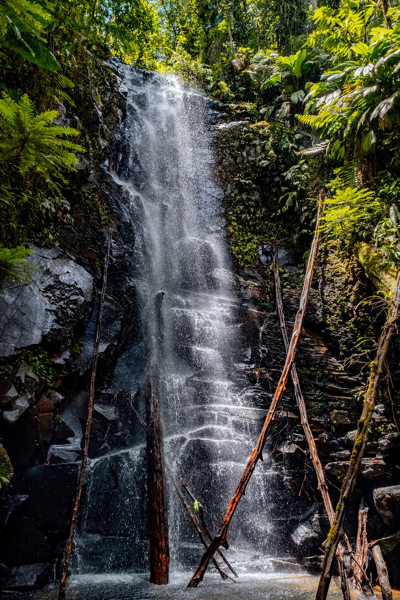 Cascade Palmiste — Guadeloupe, 2021