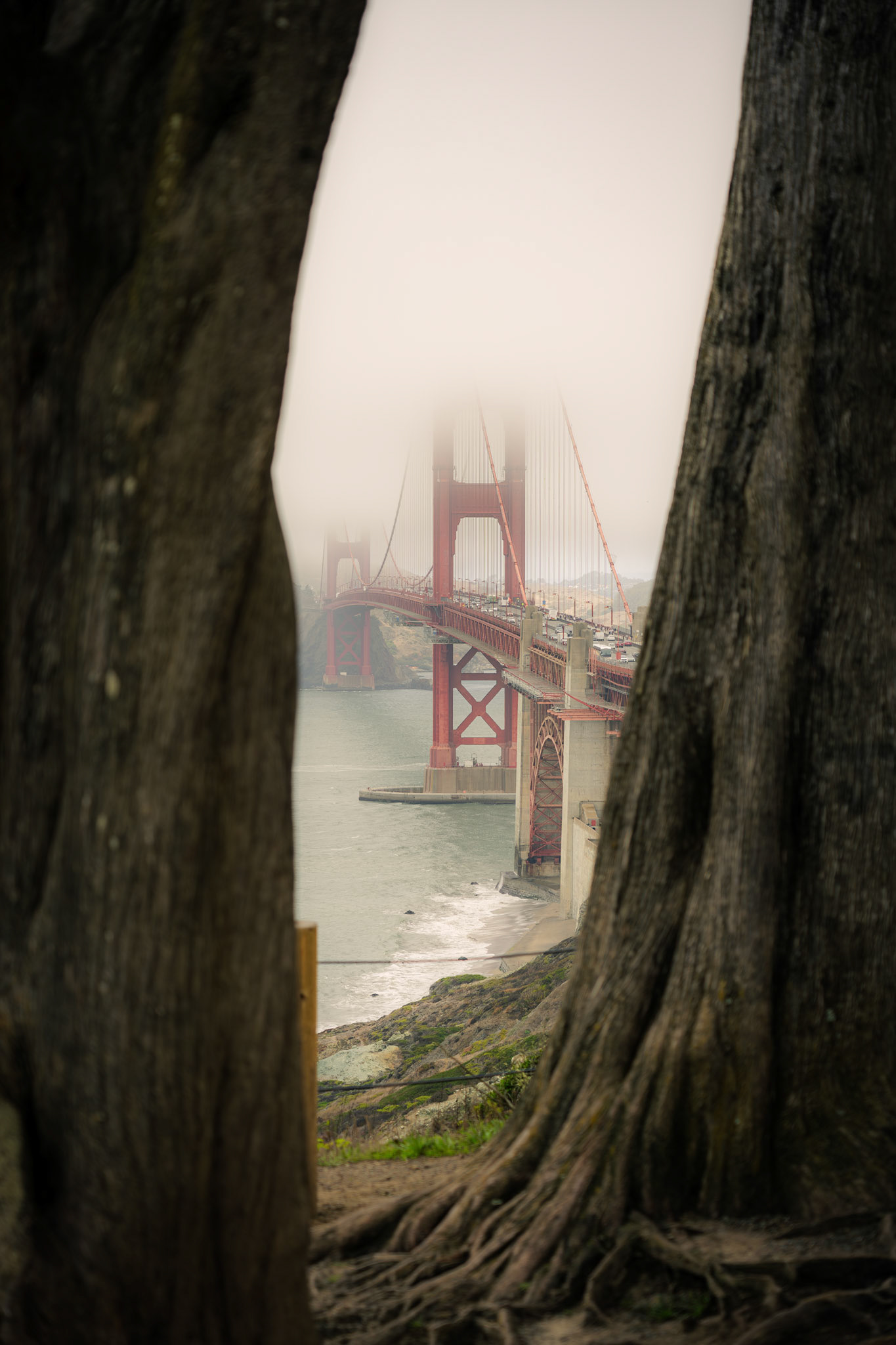 The bridge appeared the way good things often do, partially, quietly, enough | San Francisco, California