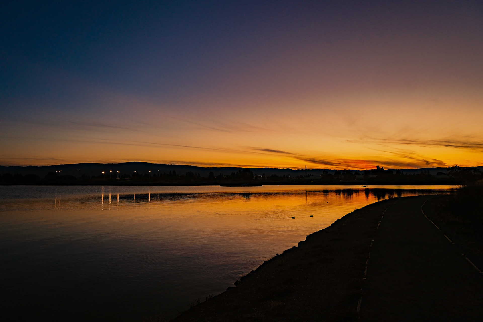 A beautiful kind of in-between, neither gone nor fully staying | Mountain View, California