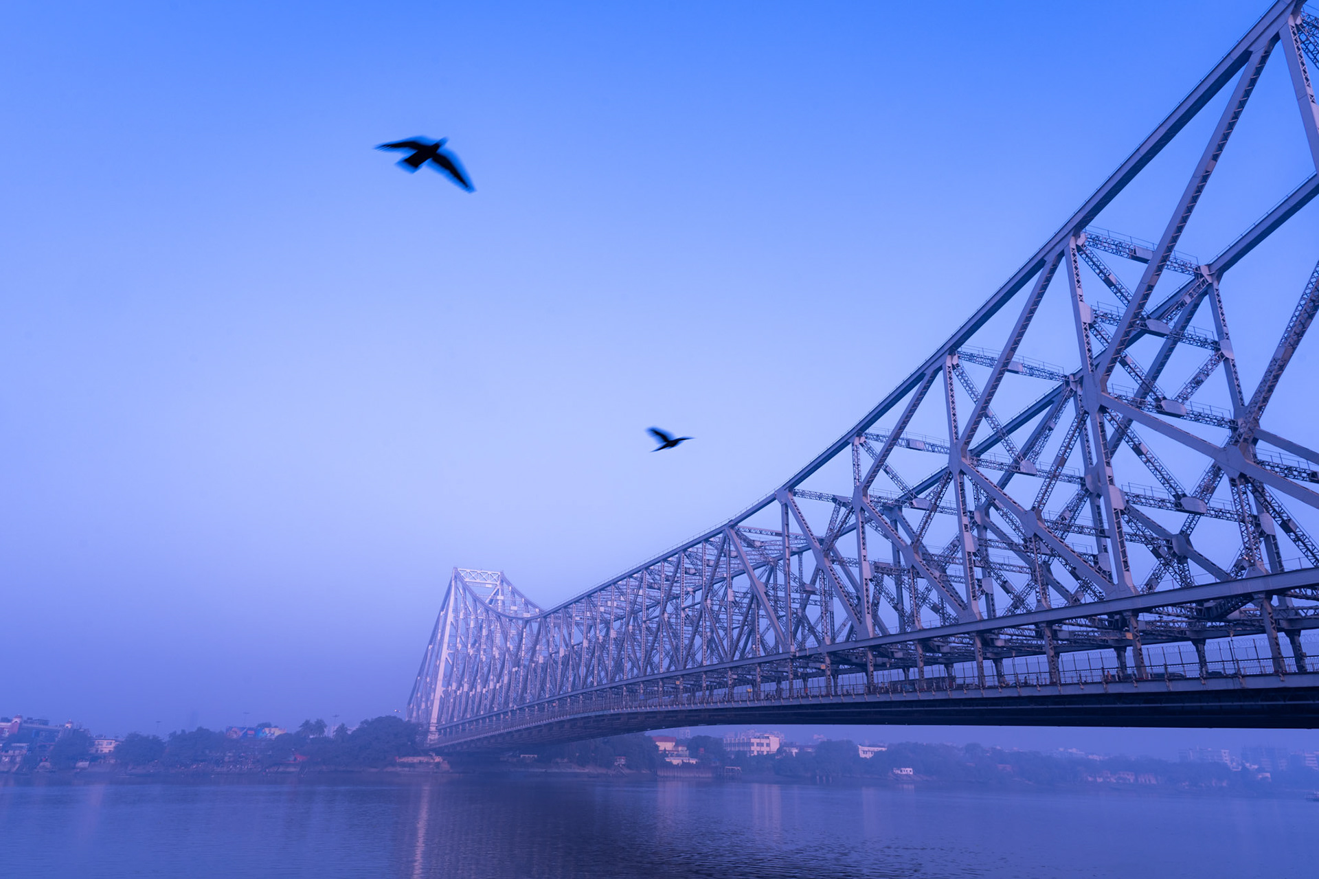 The bridge held its line; the birds wrote the rest | Calcutta, India