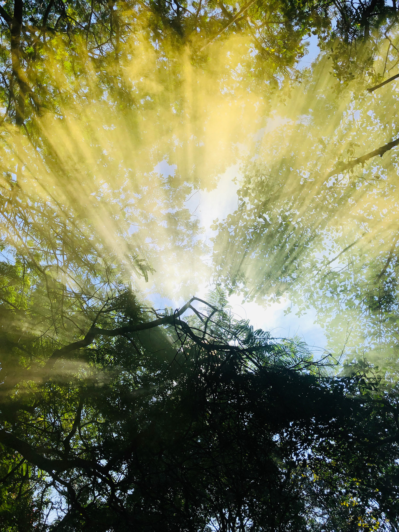 Light rain! When just lights aren't enough to guide you home | Bangalore, India