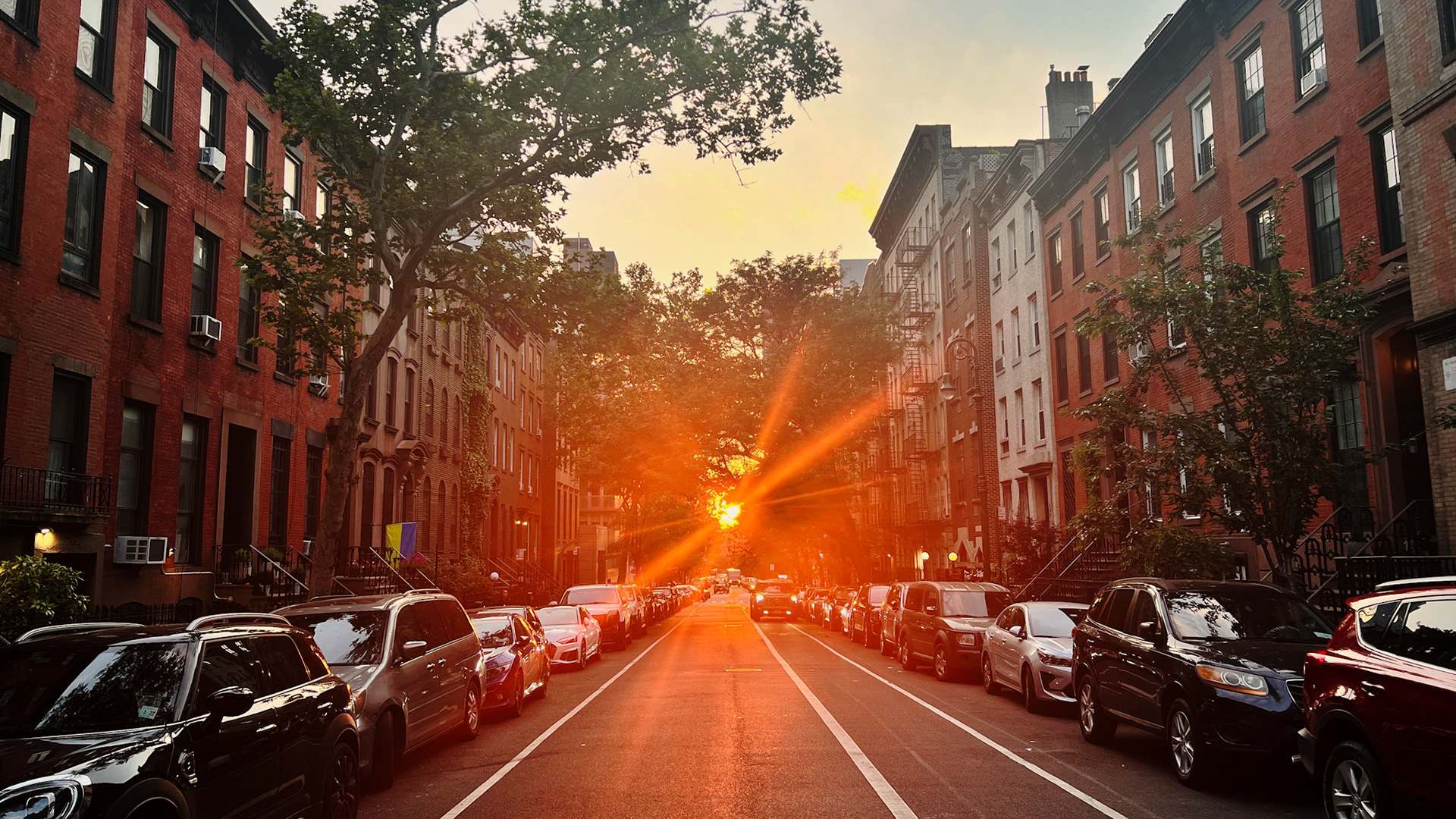 When the sunset light lands just right, the city stops feeling built and starts feeling composed | New York City