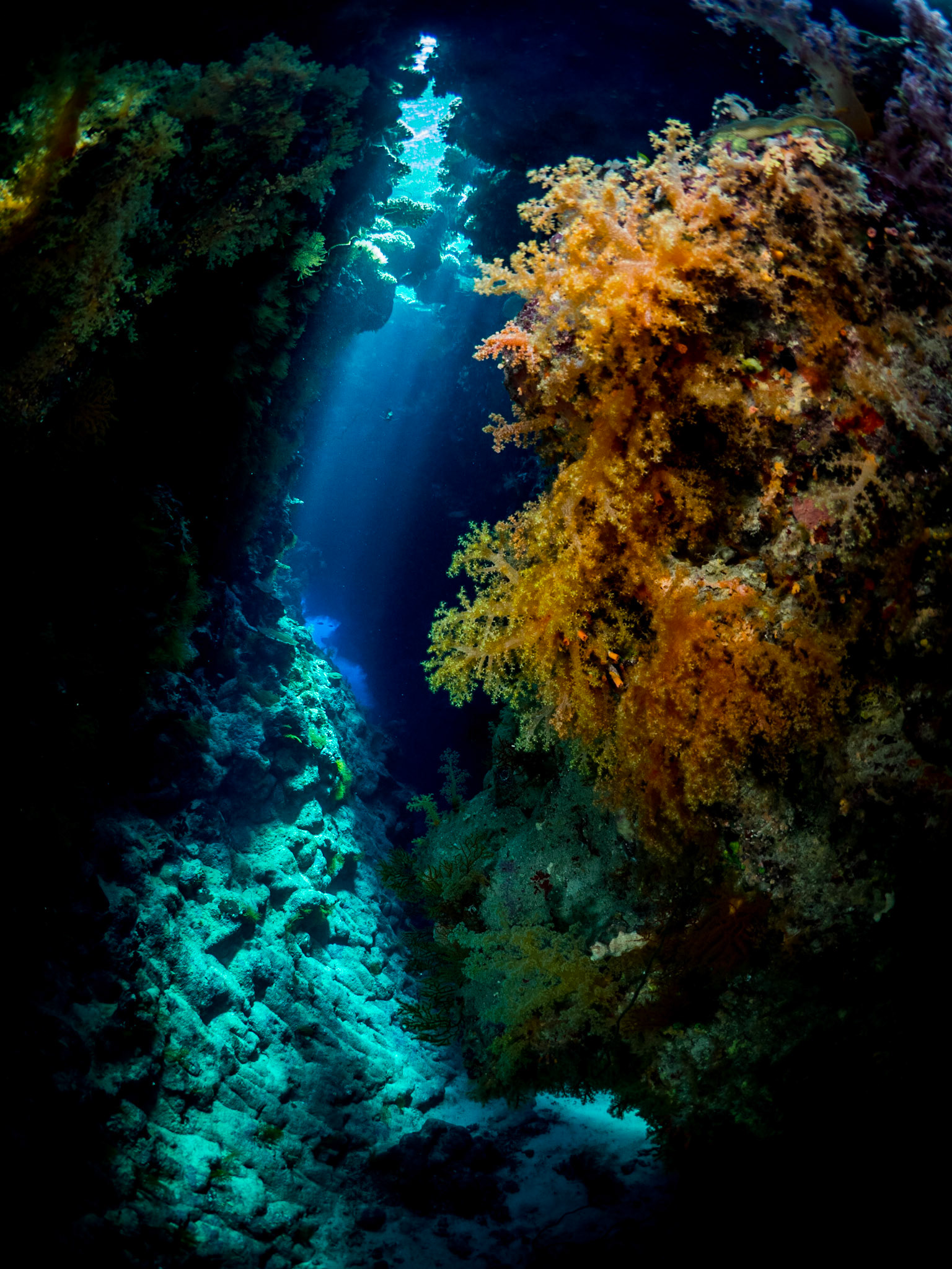 CAVERN | St Johns, Red Sea, Egypt