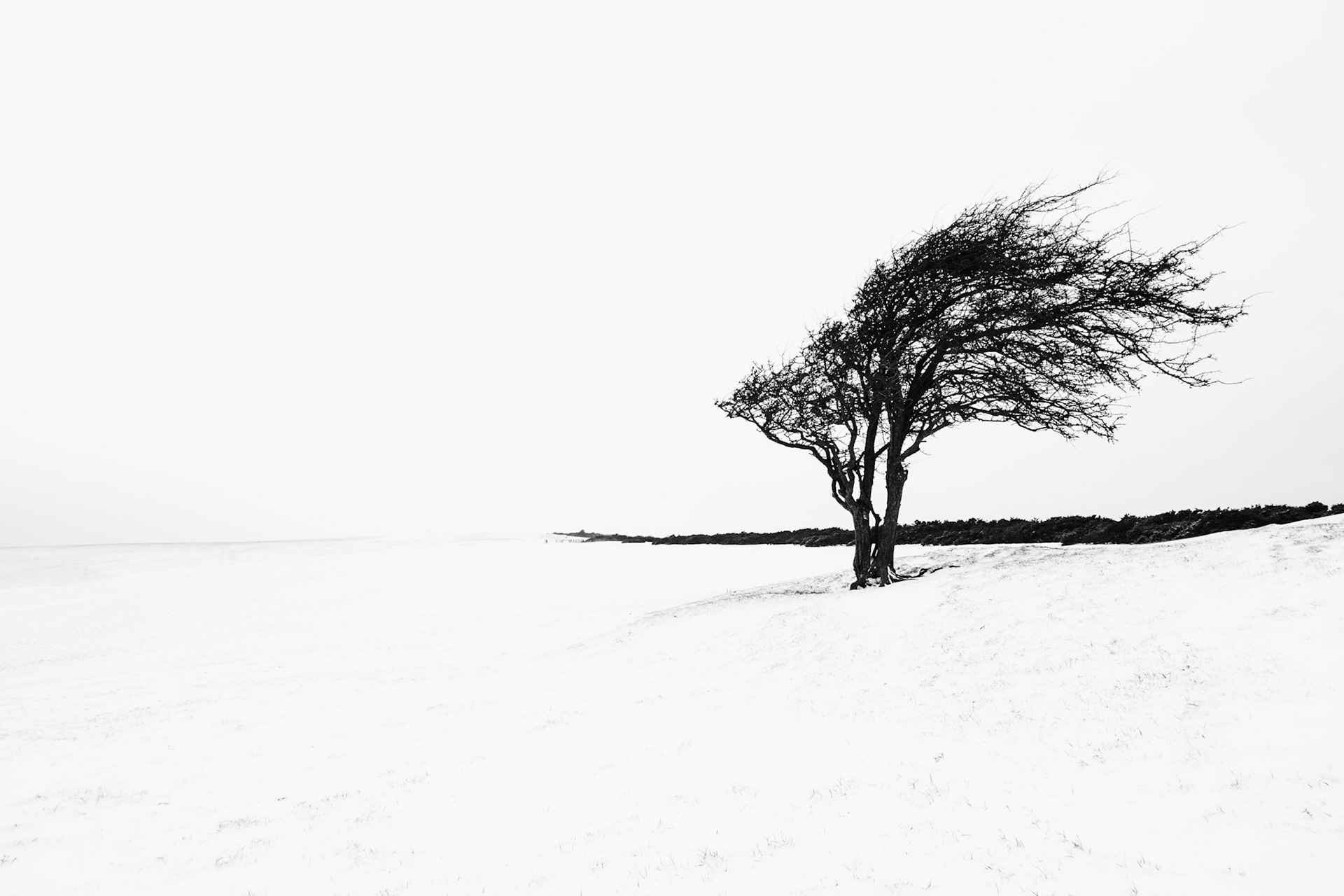 WHITEOUT | Ditchling Beacon, Southdowns National Park, East Sussex, England, UK