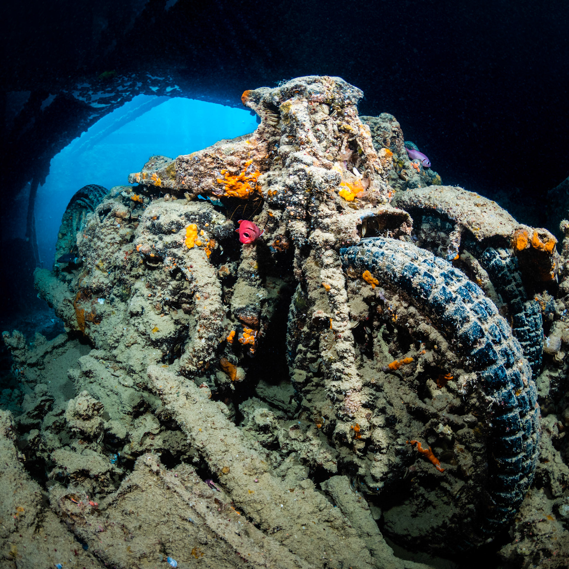 BIKE | Thistlegorm | Red Sea, Egypt
