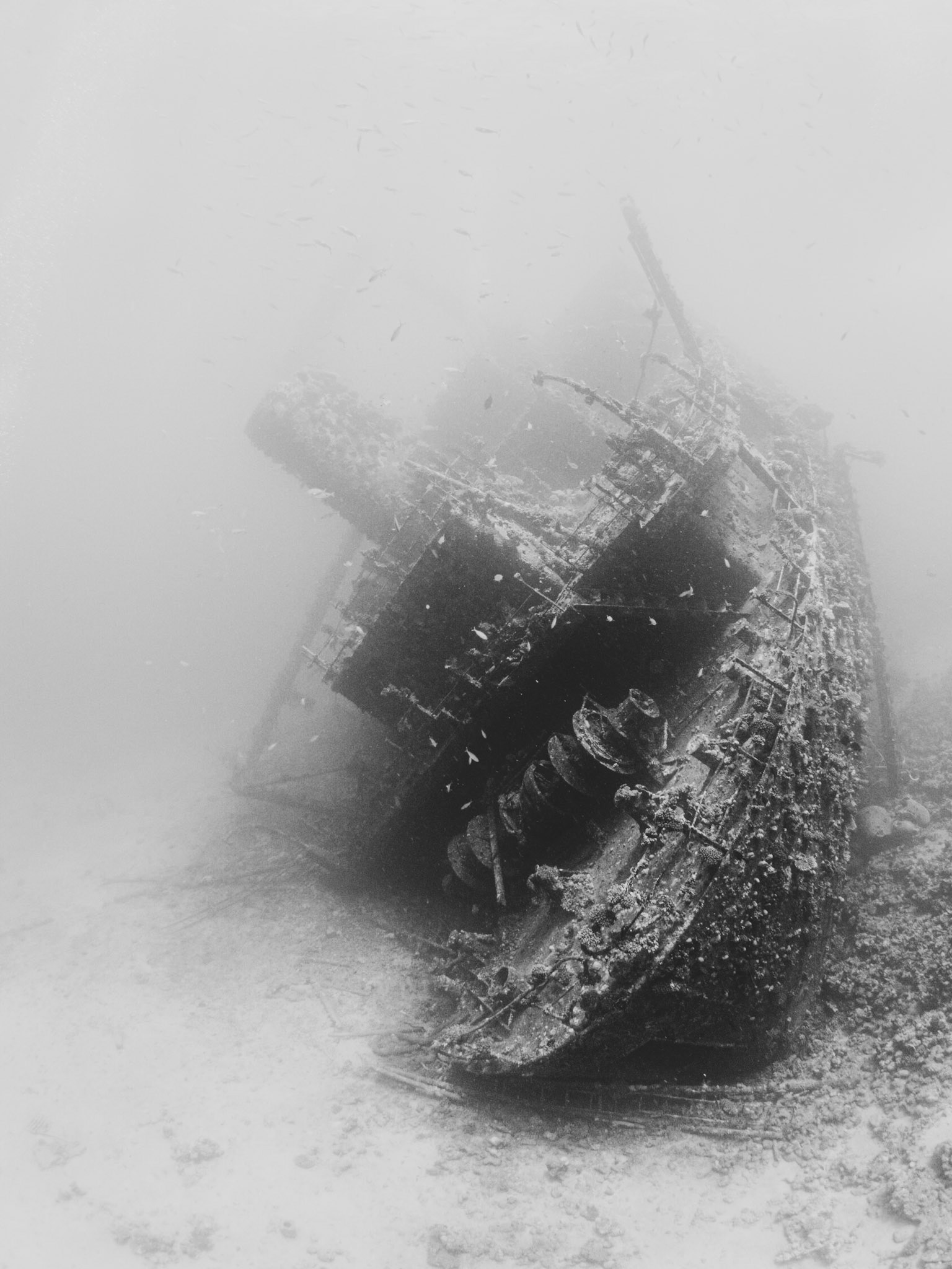 GIANNIS | Abu Nuhas, Red Sea, Egypt
