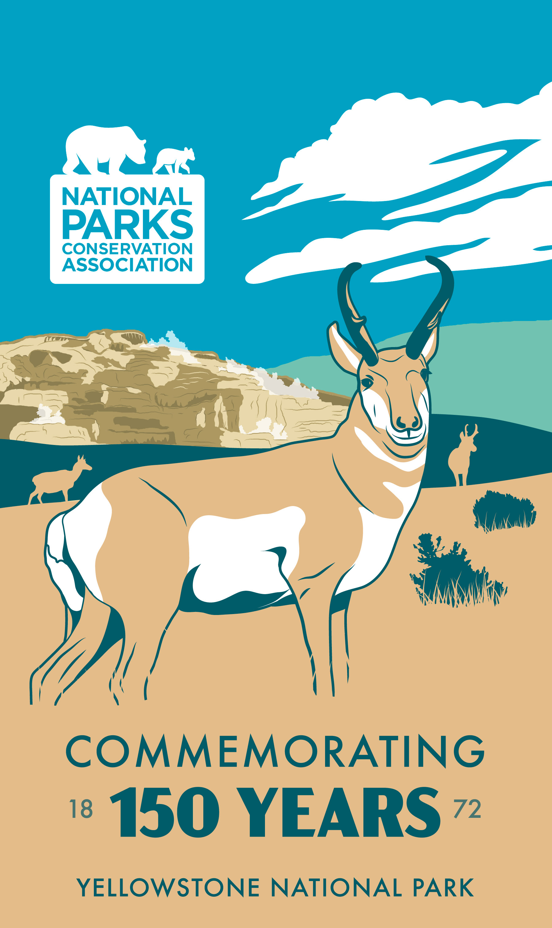 Pronghorn at Mammoth Hot Springs
