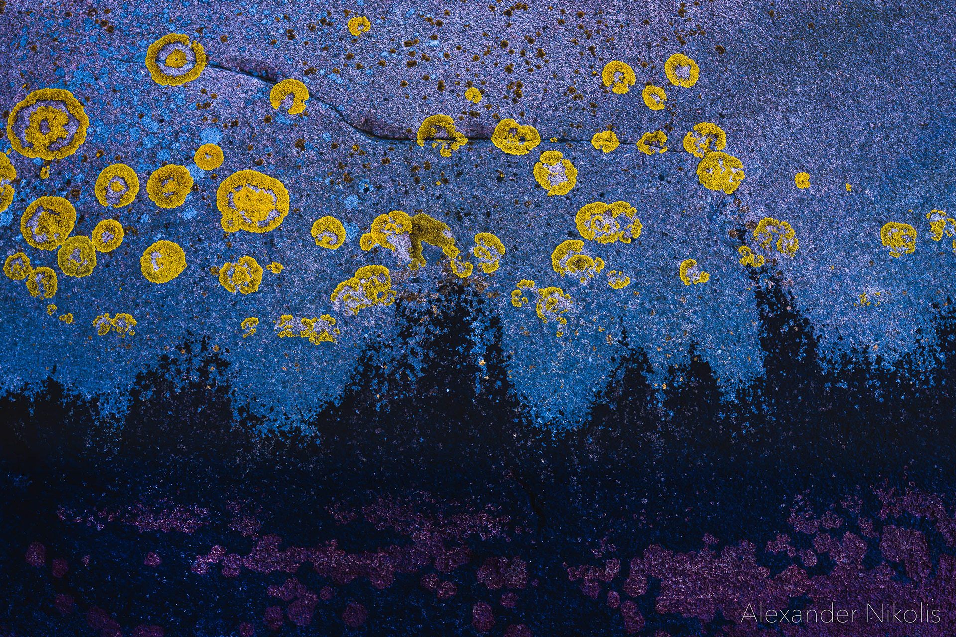 Starry night
