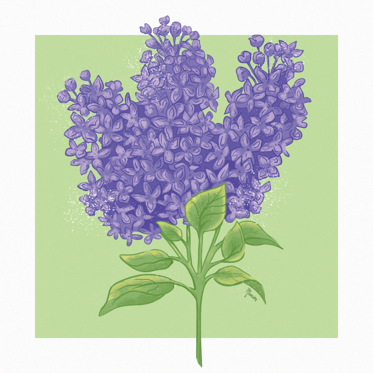 Le Lilas
