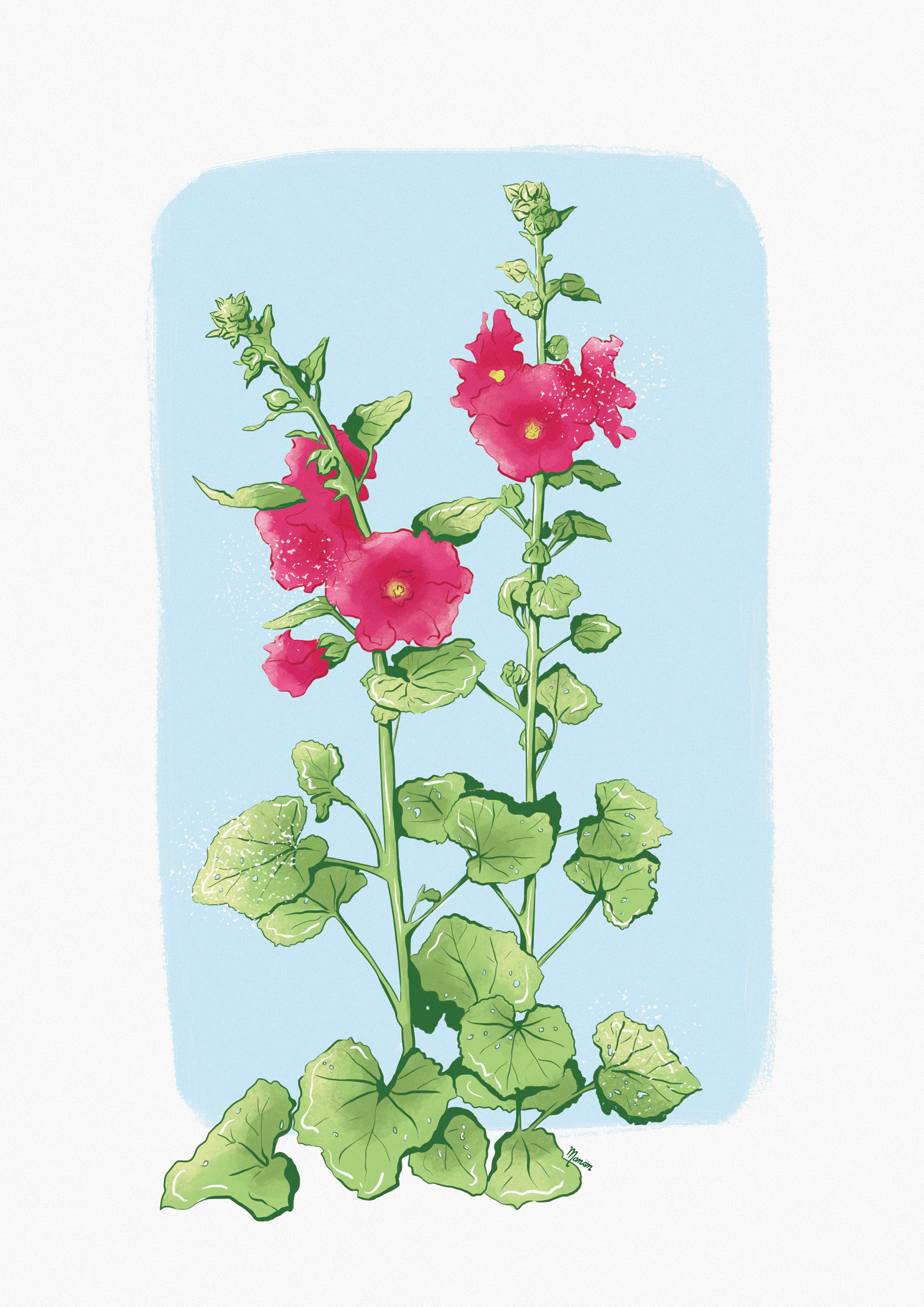 Les Roses Trémières