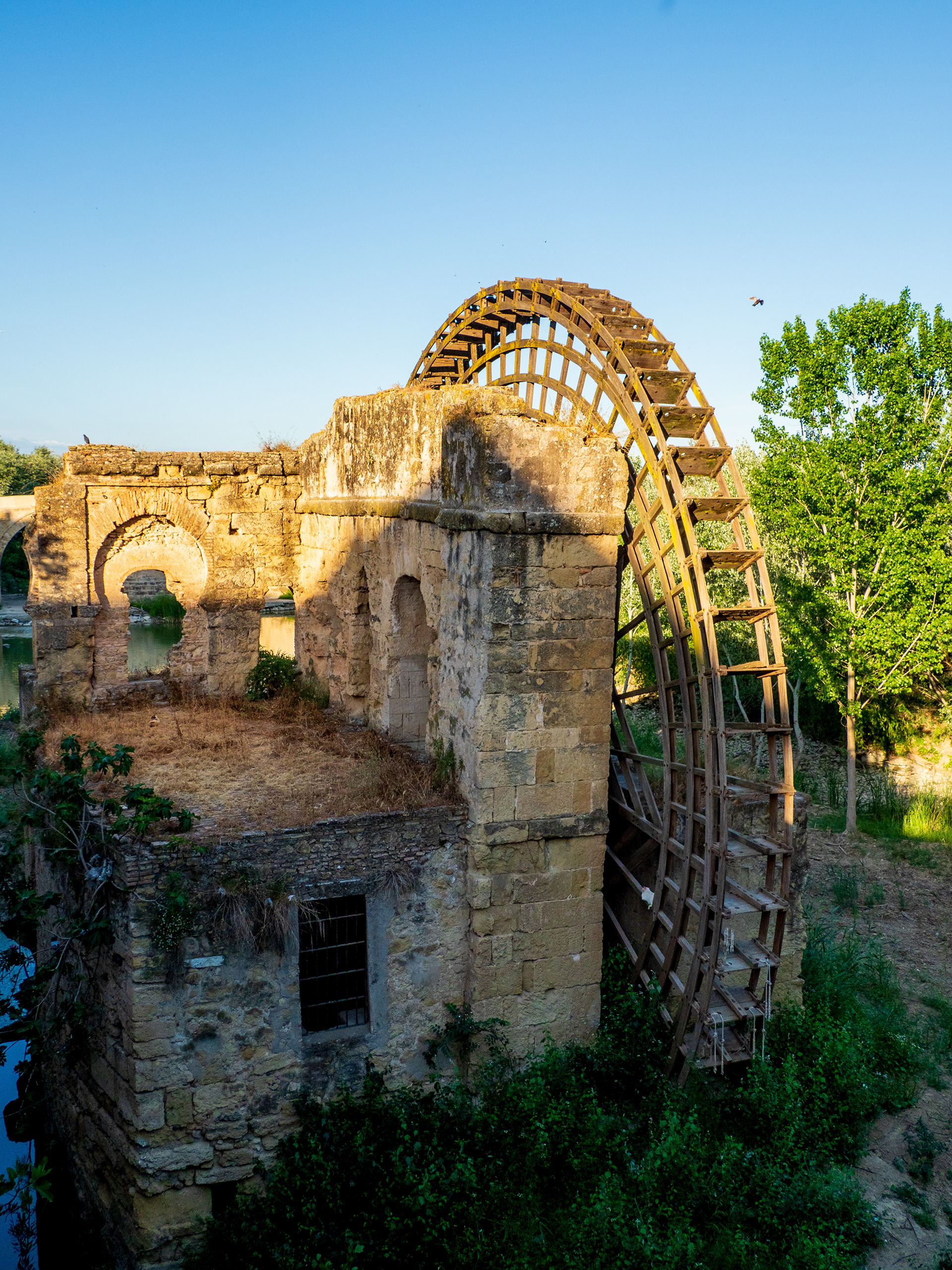 vous avez vu sur la grande roue ?
