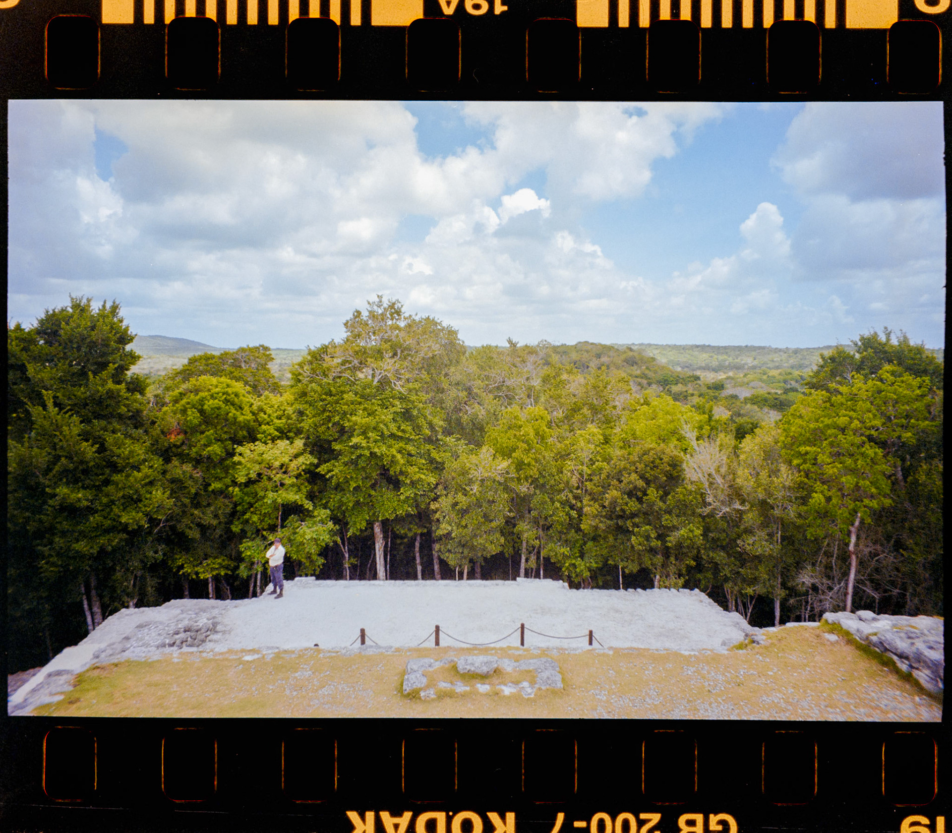 Le haut de la pyramide émerge de la jungle