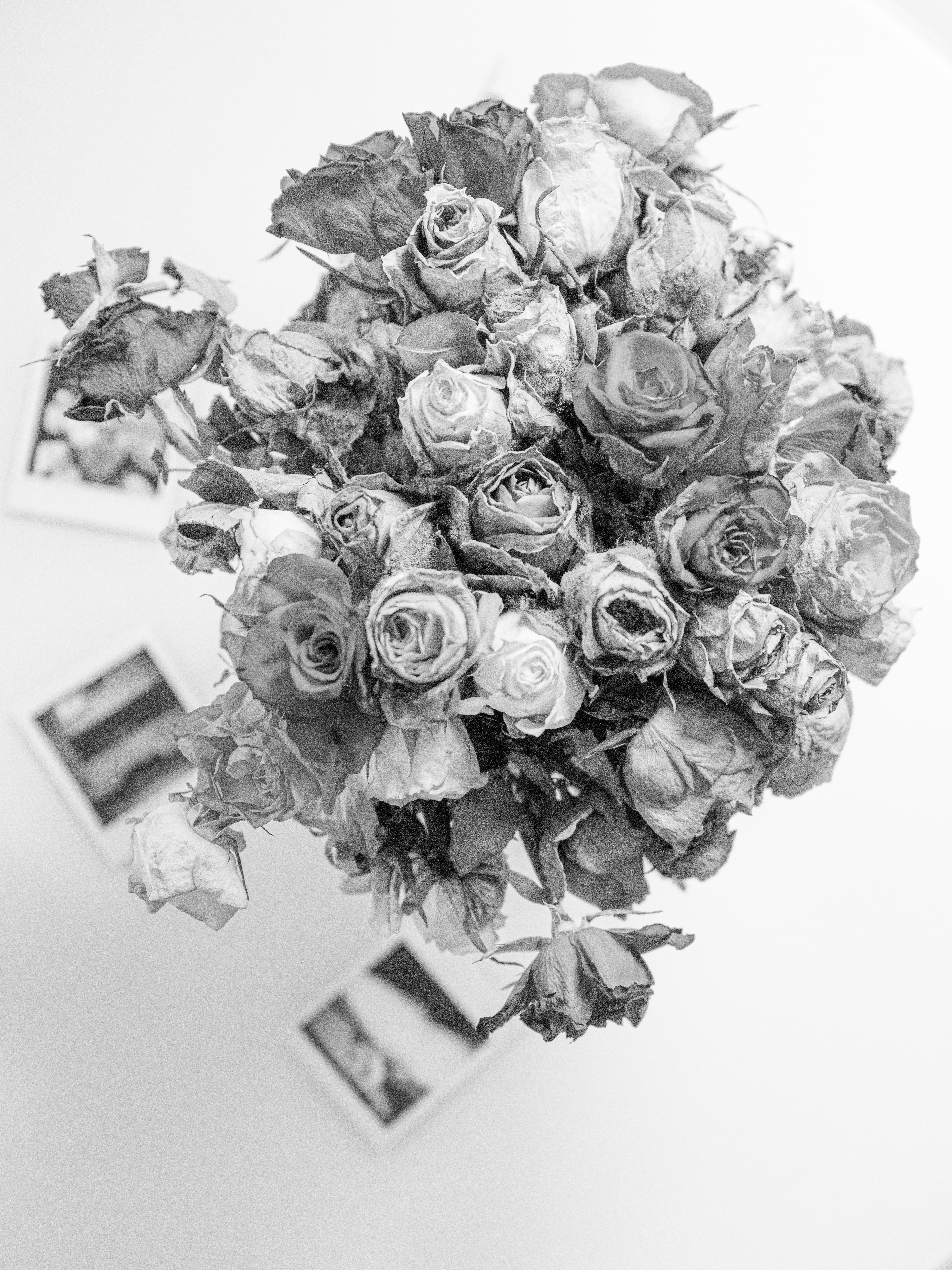 Des fleurs le temps de se rétablir du Covid ...