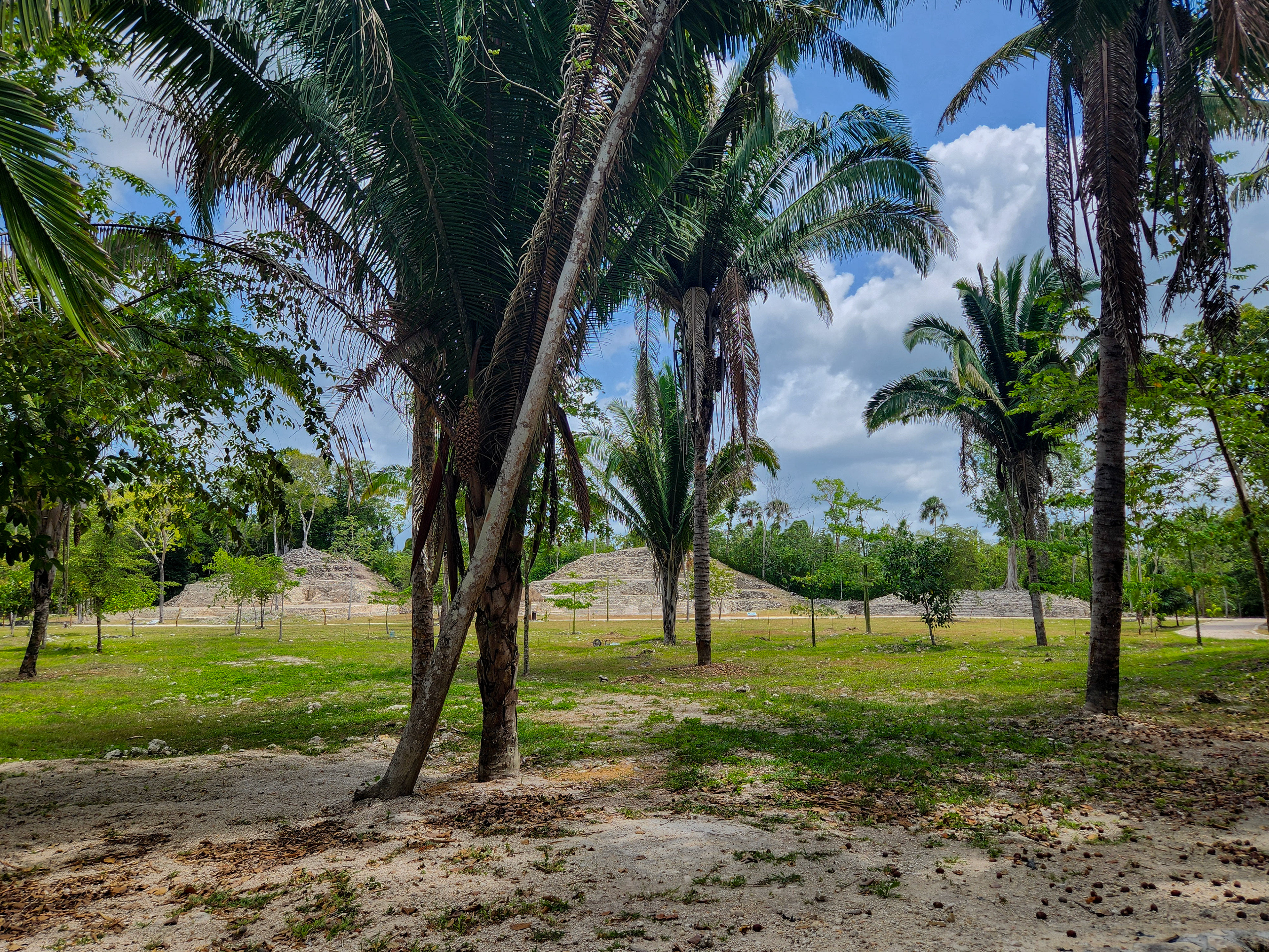 Au milieu du site par contre, la jungle a reculé