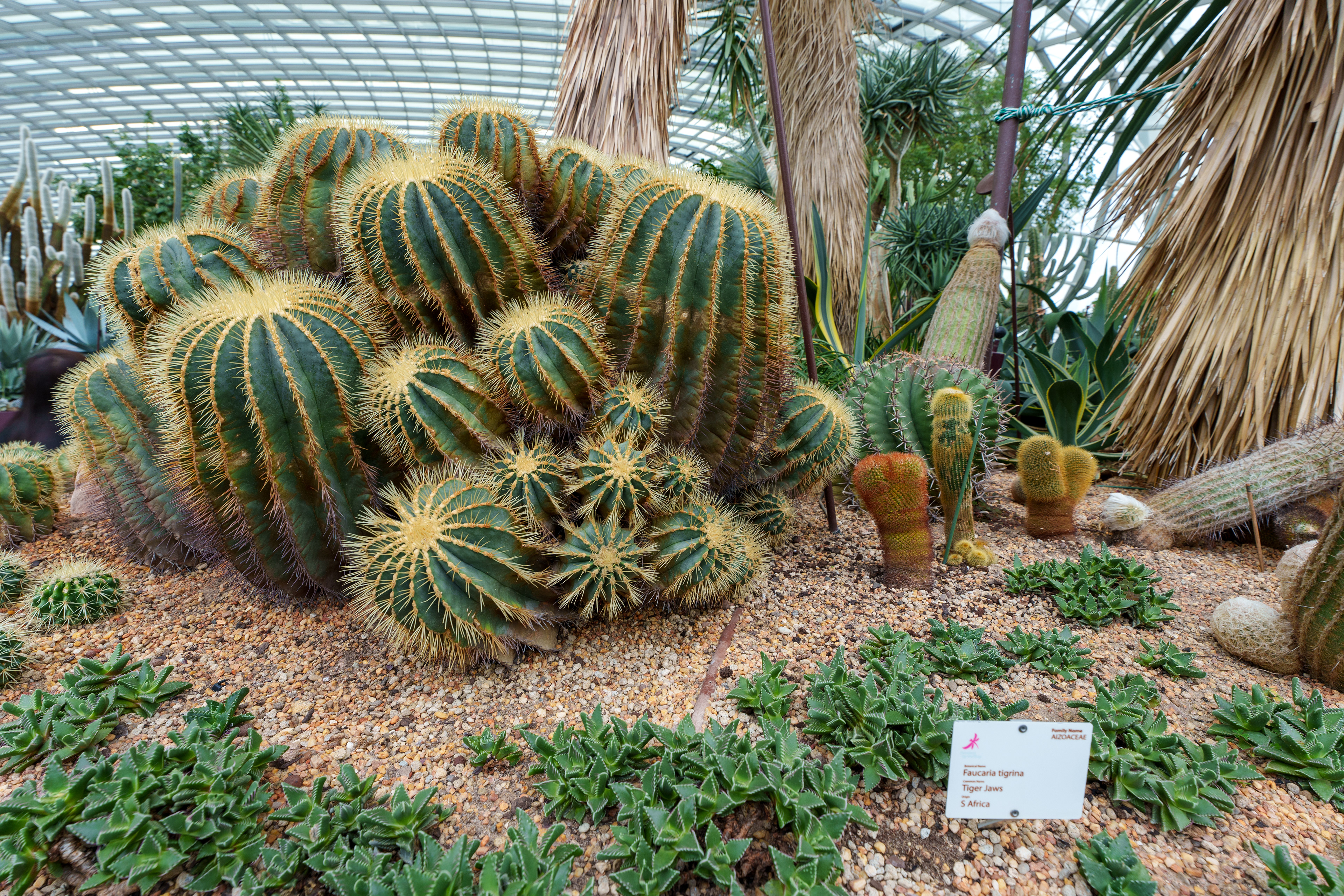 Flower Dome