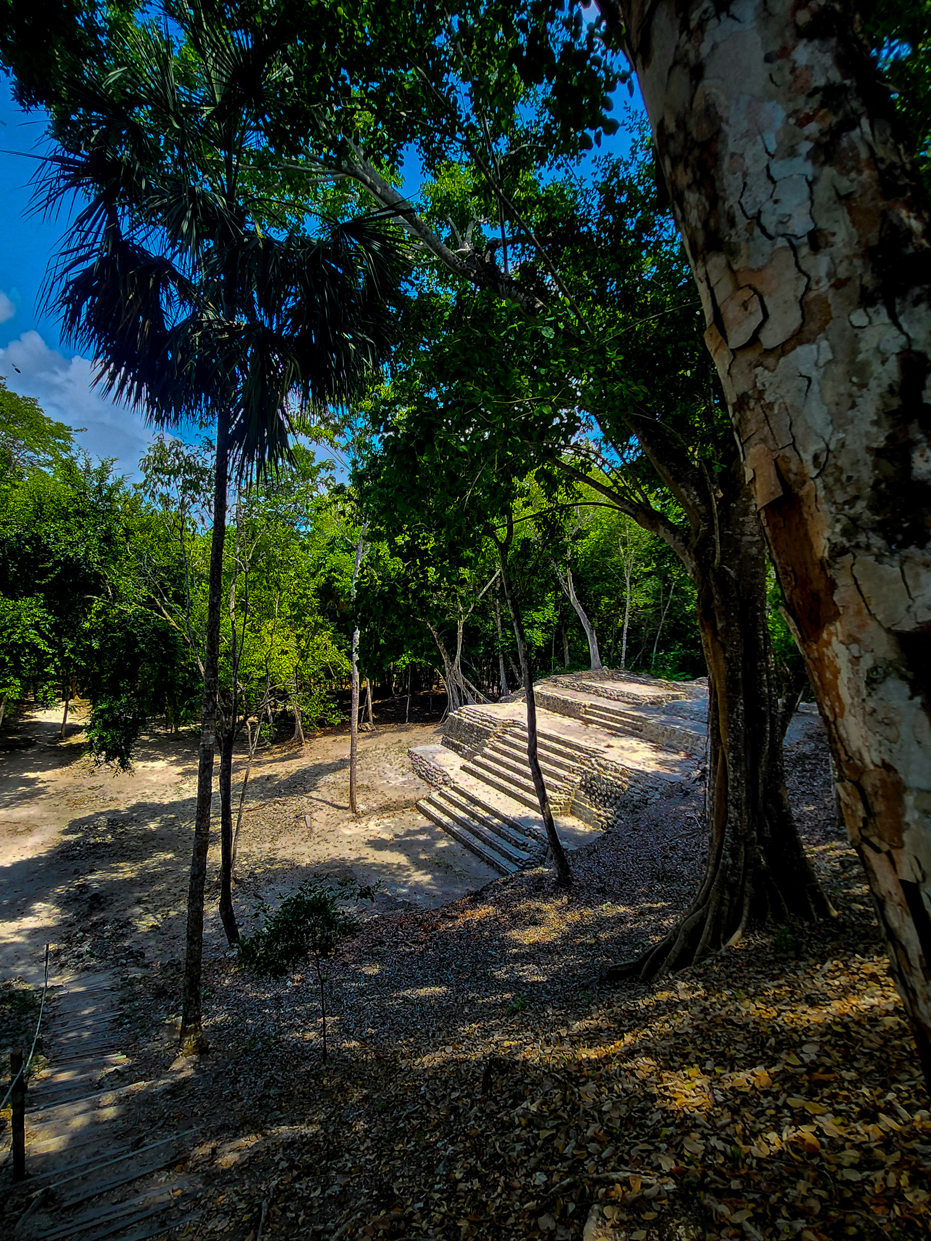 Le chemin tracé vers le sommet se situe au dessus de la constructioin, encore ensevelie