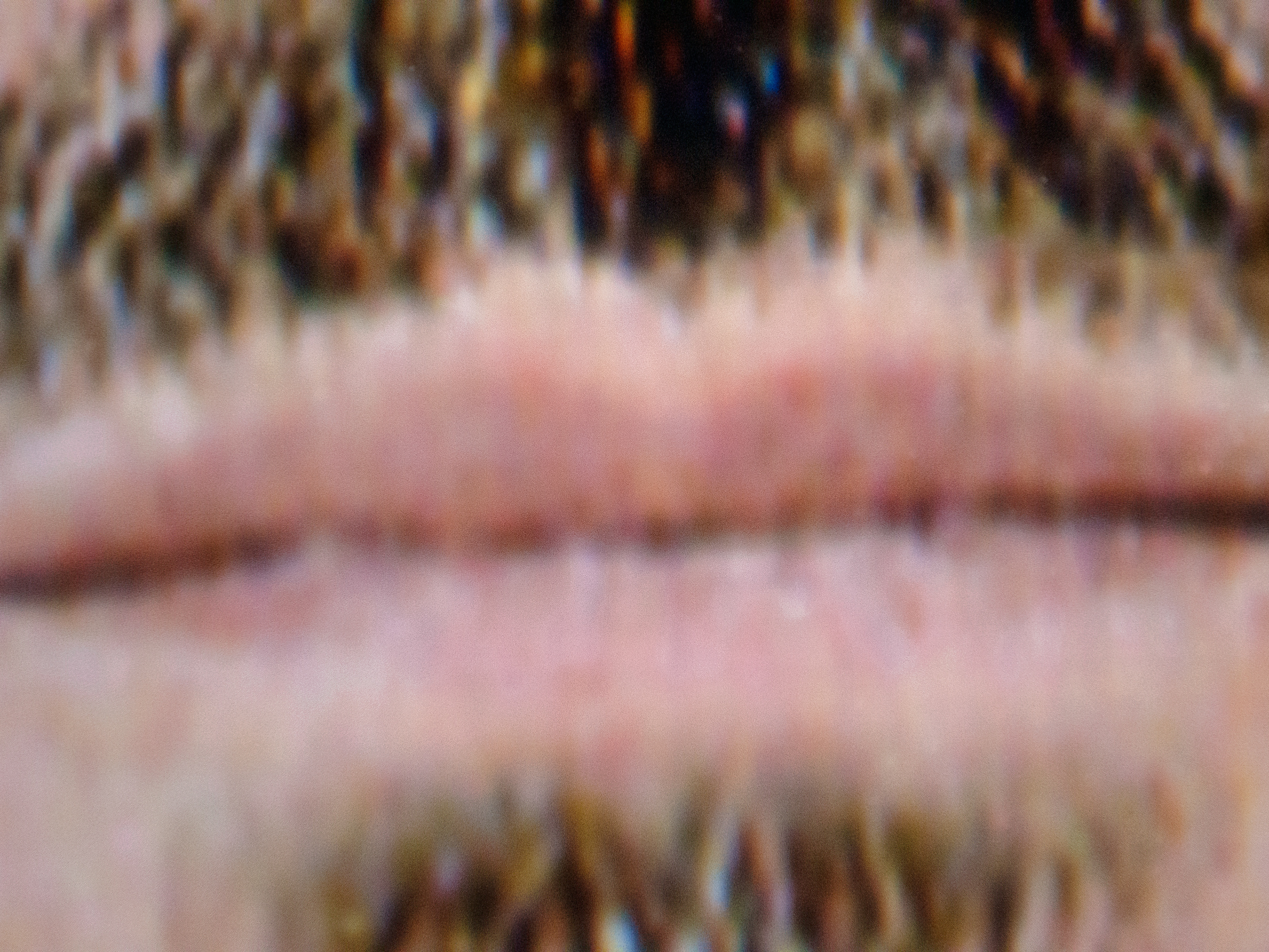 Photo d'identité