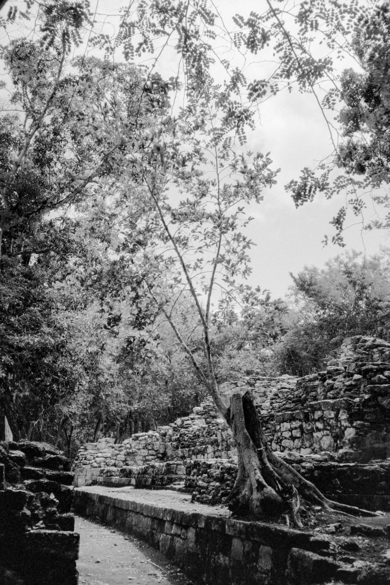 Versions argentique noir et blanc